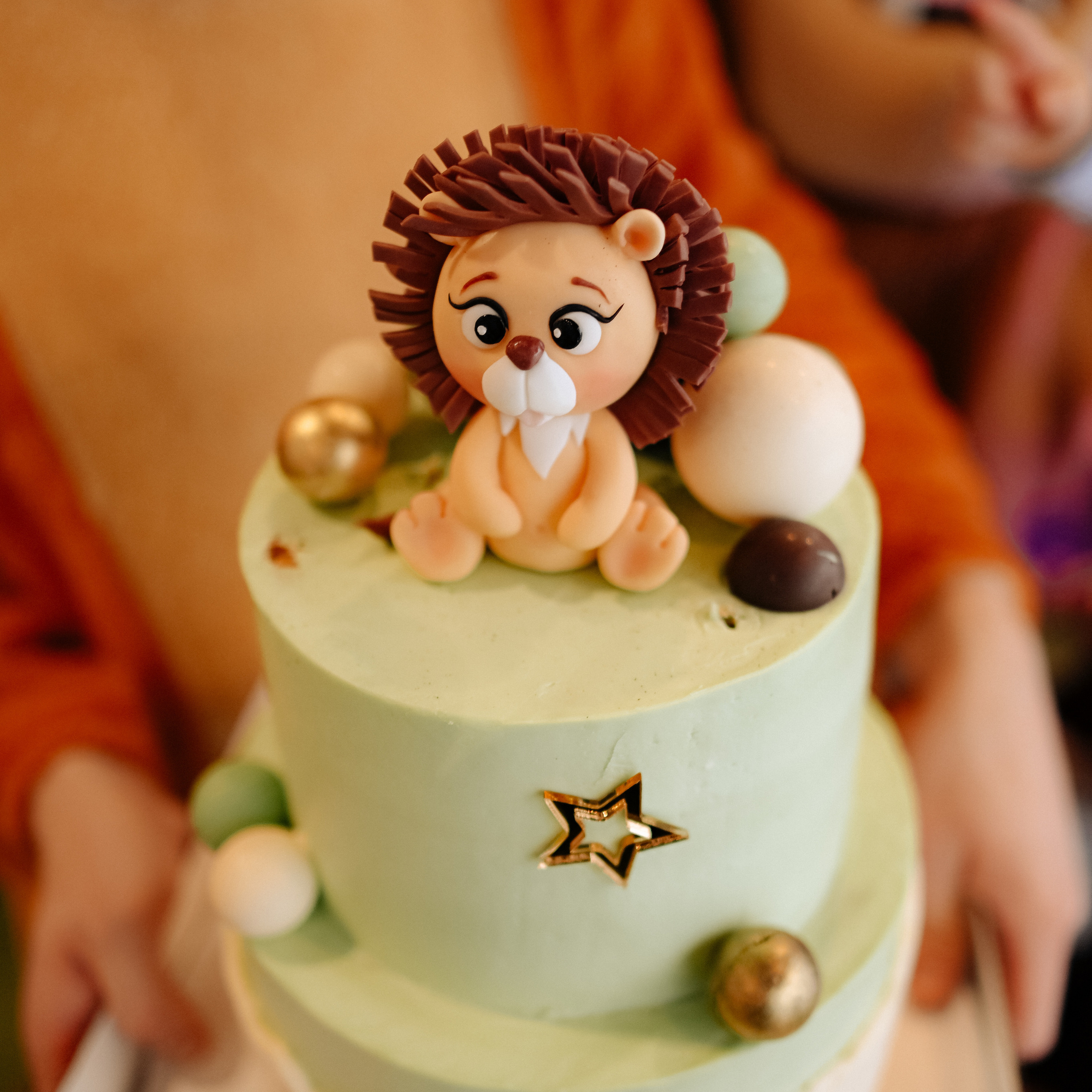 Отзывы о фотографе — Данилов Михаил. Свадебный и репортажный фотограф в Домодедово, Видное, Москва — Михаил Данилов