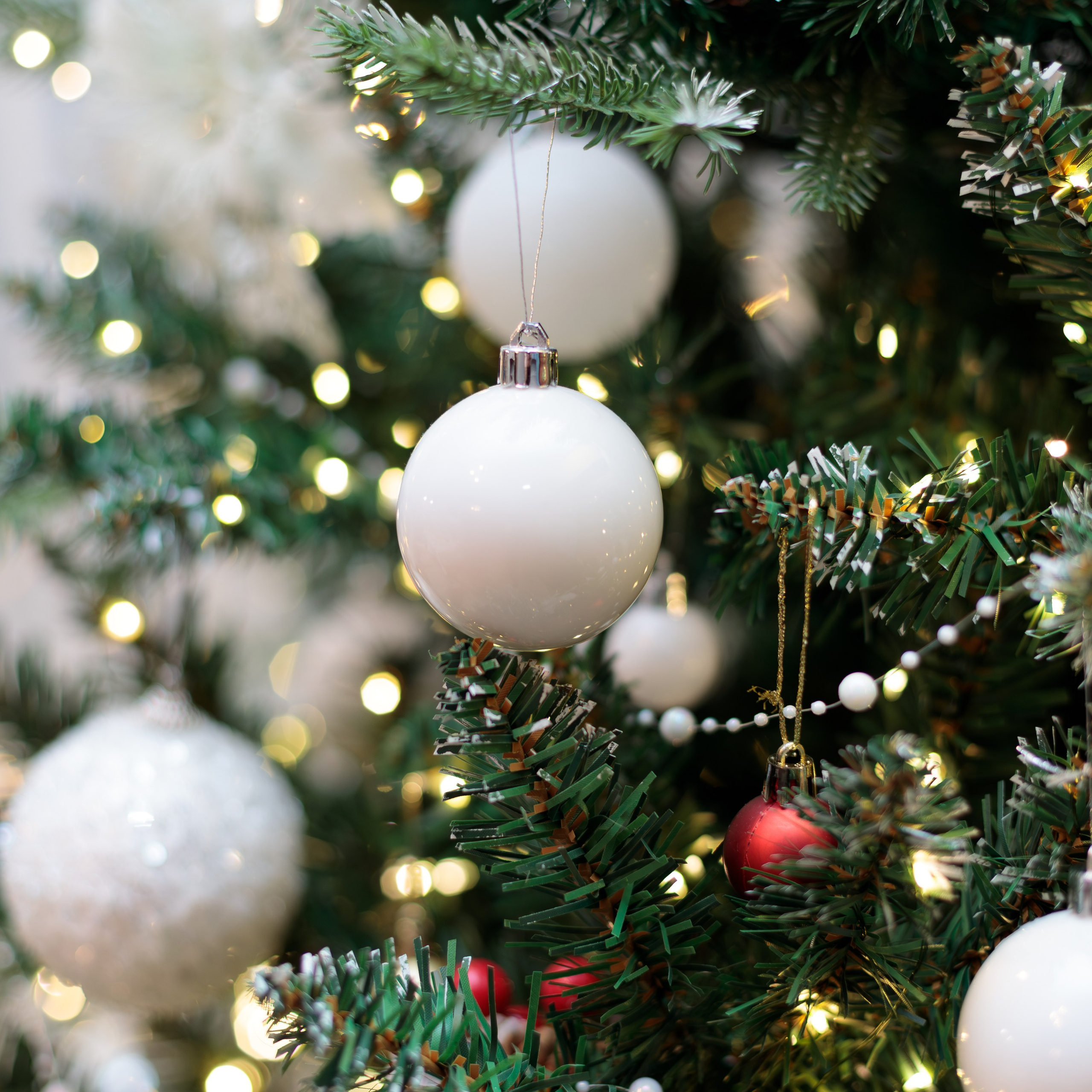 Отзывы. Семейный Фотограф в Красноярске Крохалев Сергей