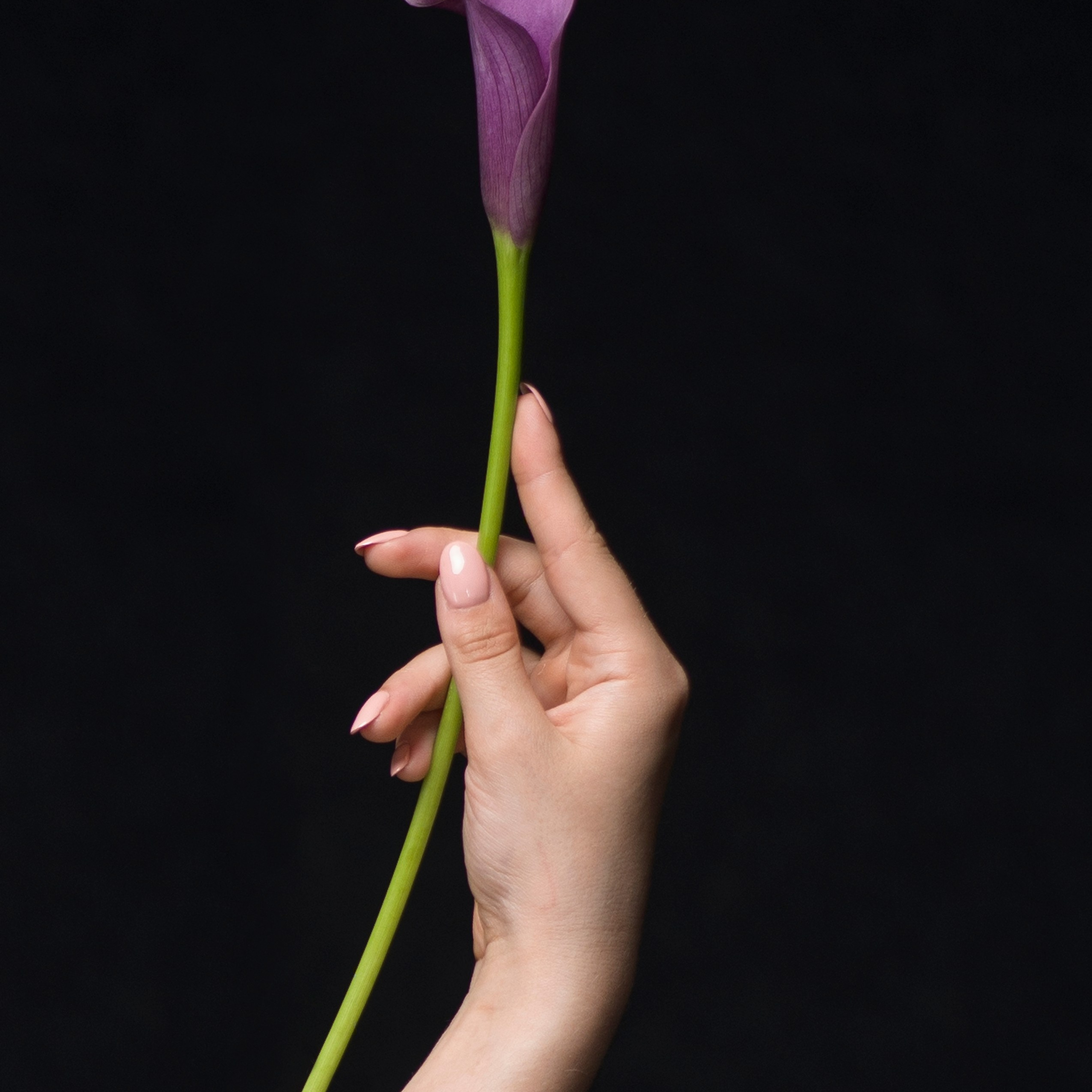 Женщины и цветы