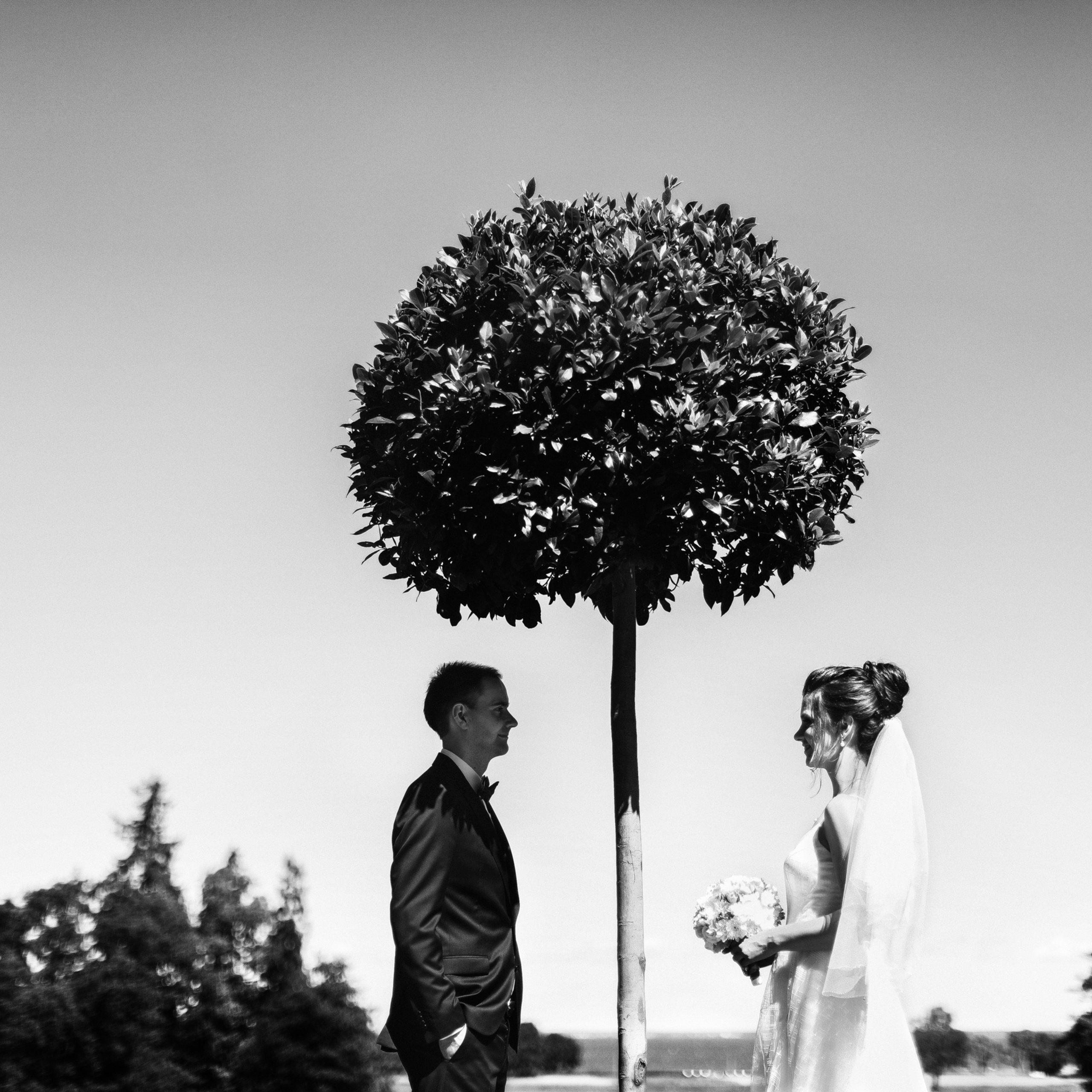 Отзывы клиентов. Свадебный и семейный Фотограф Денис Кошель