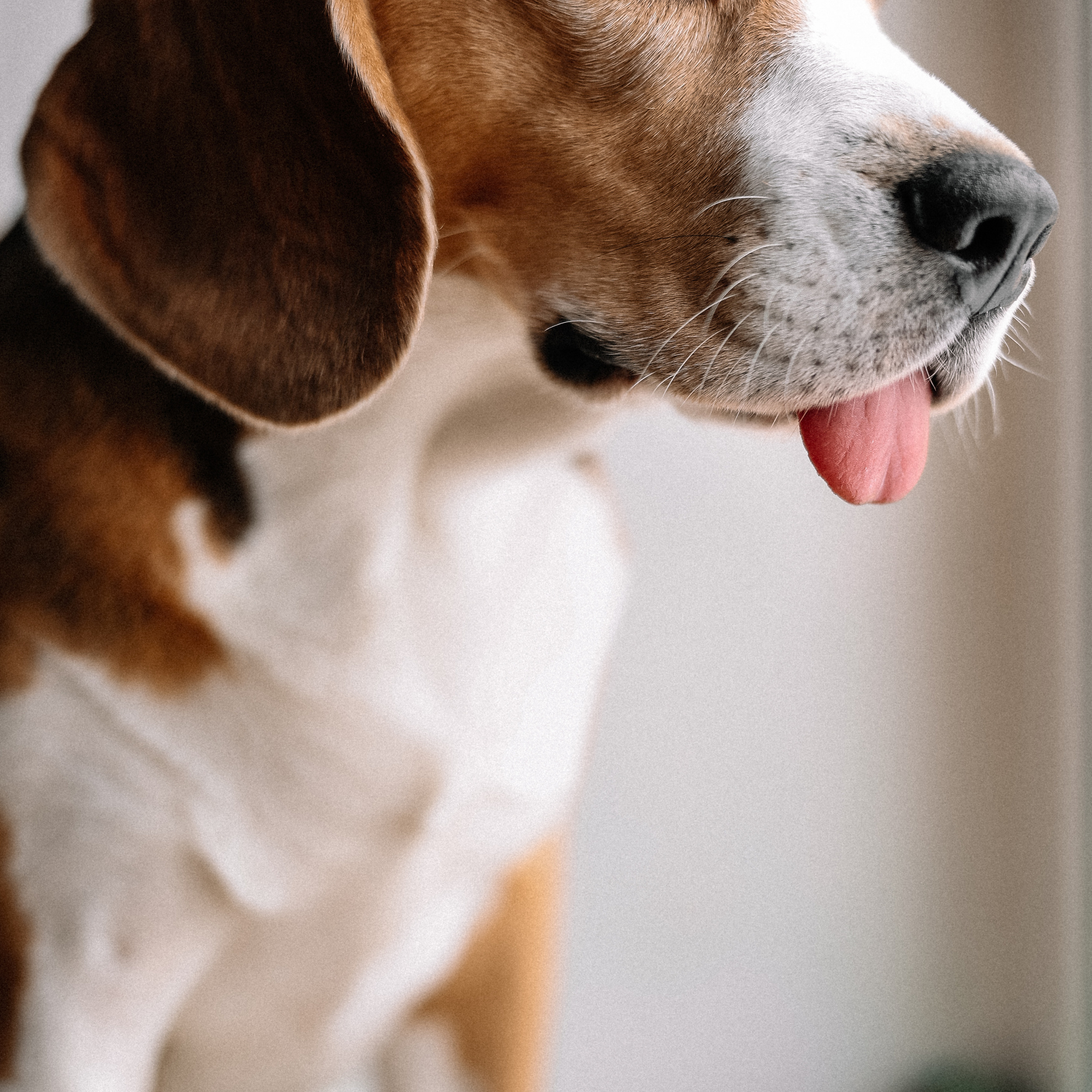 Ира, Тёма и Сергей + Язык:)