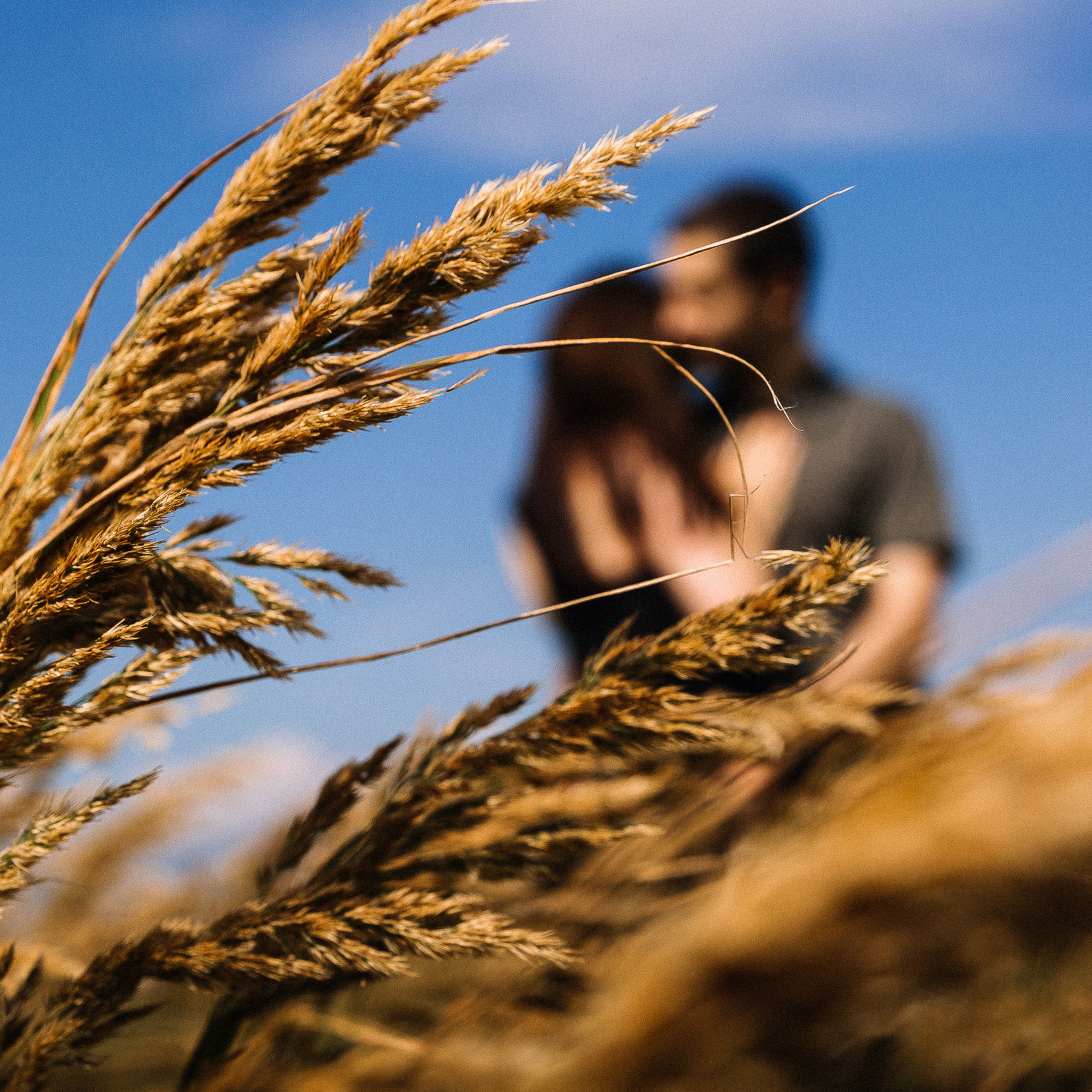 Юлия и Ярослав-2016