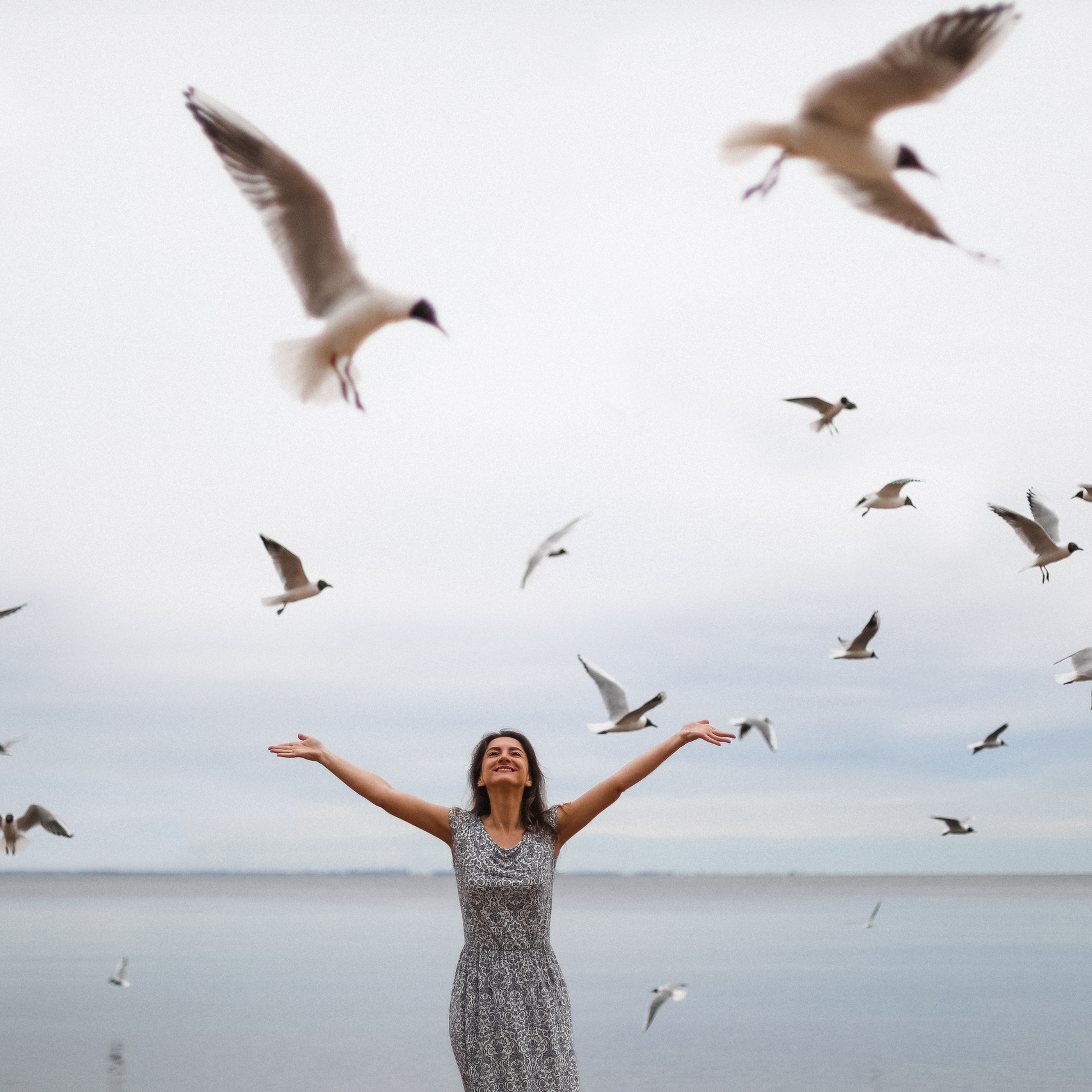 Один день среди птиц...