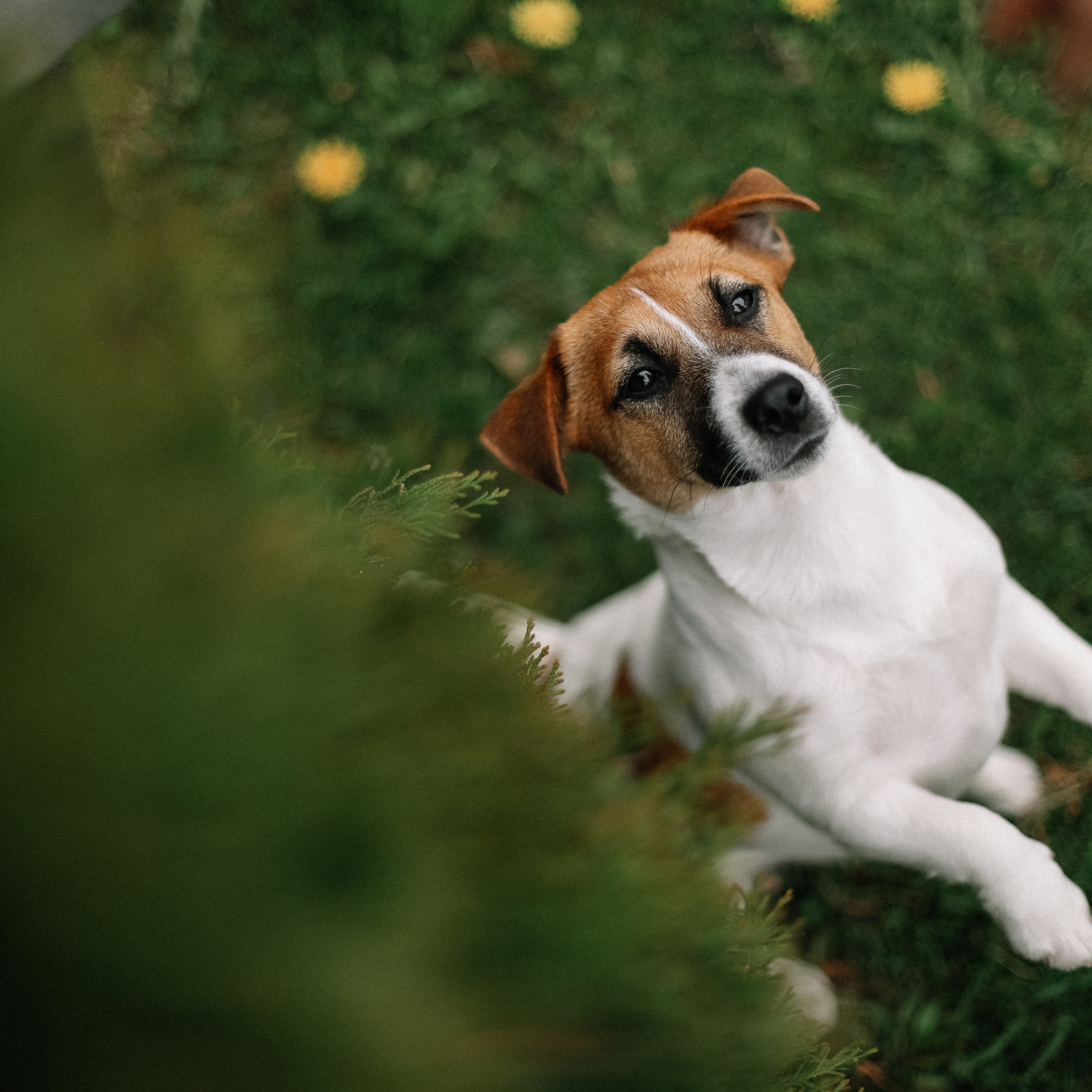Ксения, Варя, Ульяна, Маша и Сергей
