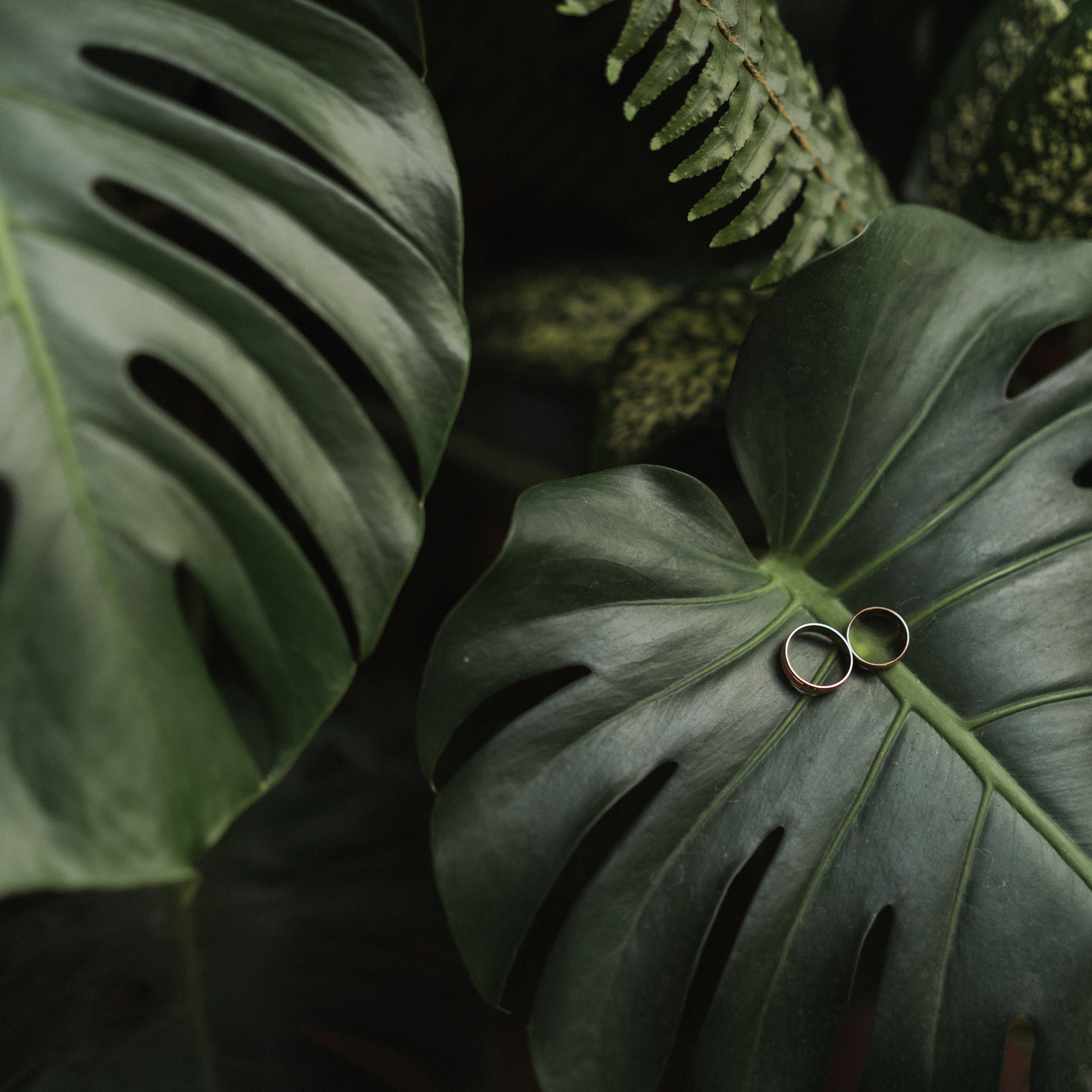 Отзывы. Зайковский Кирилл