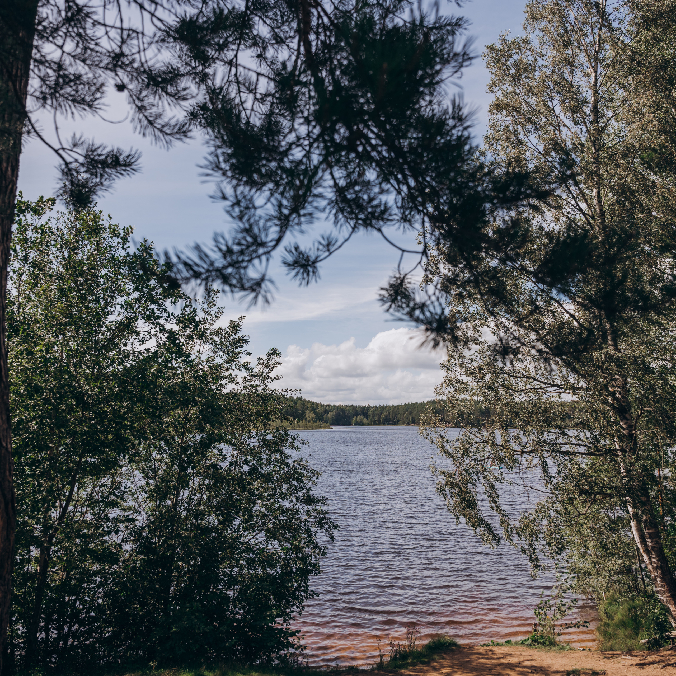 Отзывы. Зайковский Кирилл