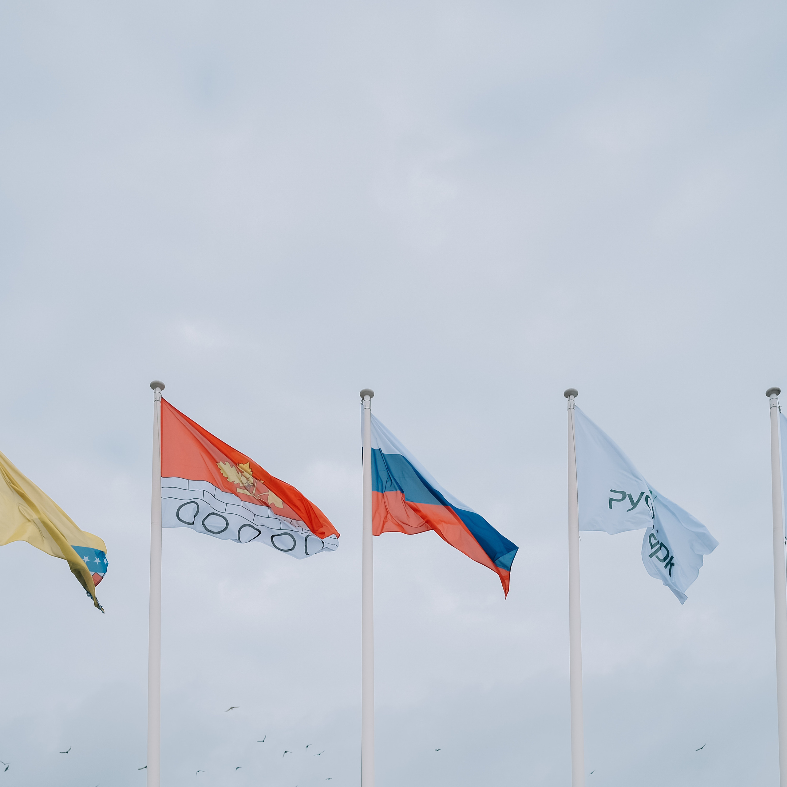 Отзывы. Свадебный фотограф Артем Ковалев