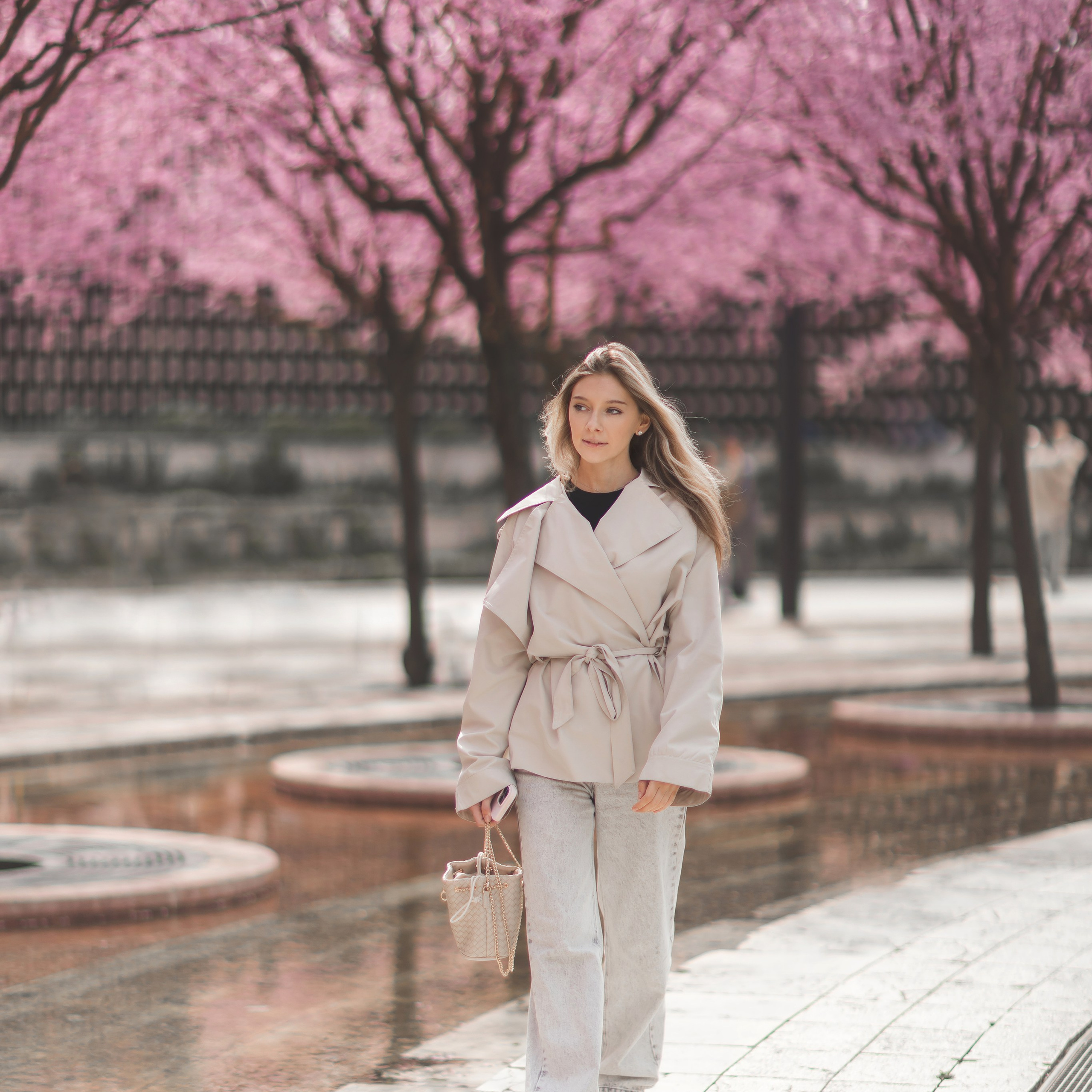 Слива Нигра в&nbsp;парке Галицкого