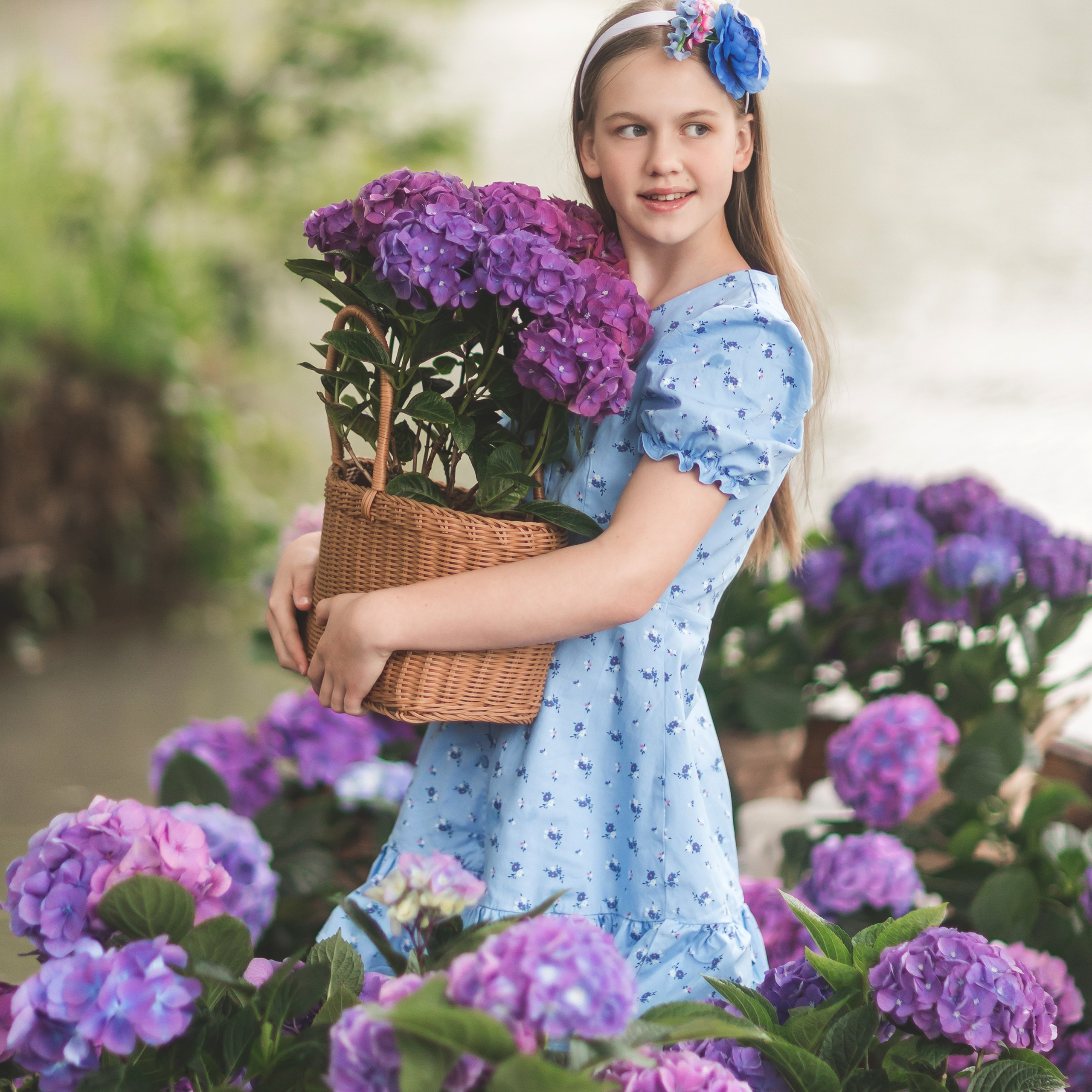 Лодка с&nbsp;гортензией (25&nbsp;апреля)