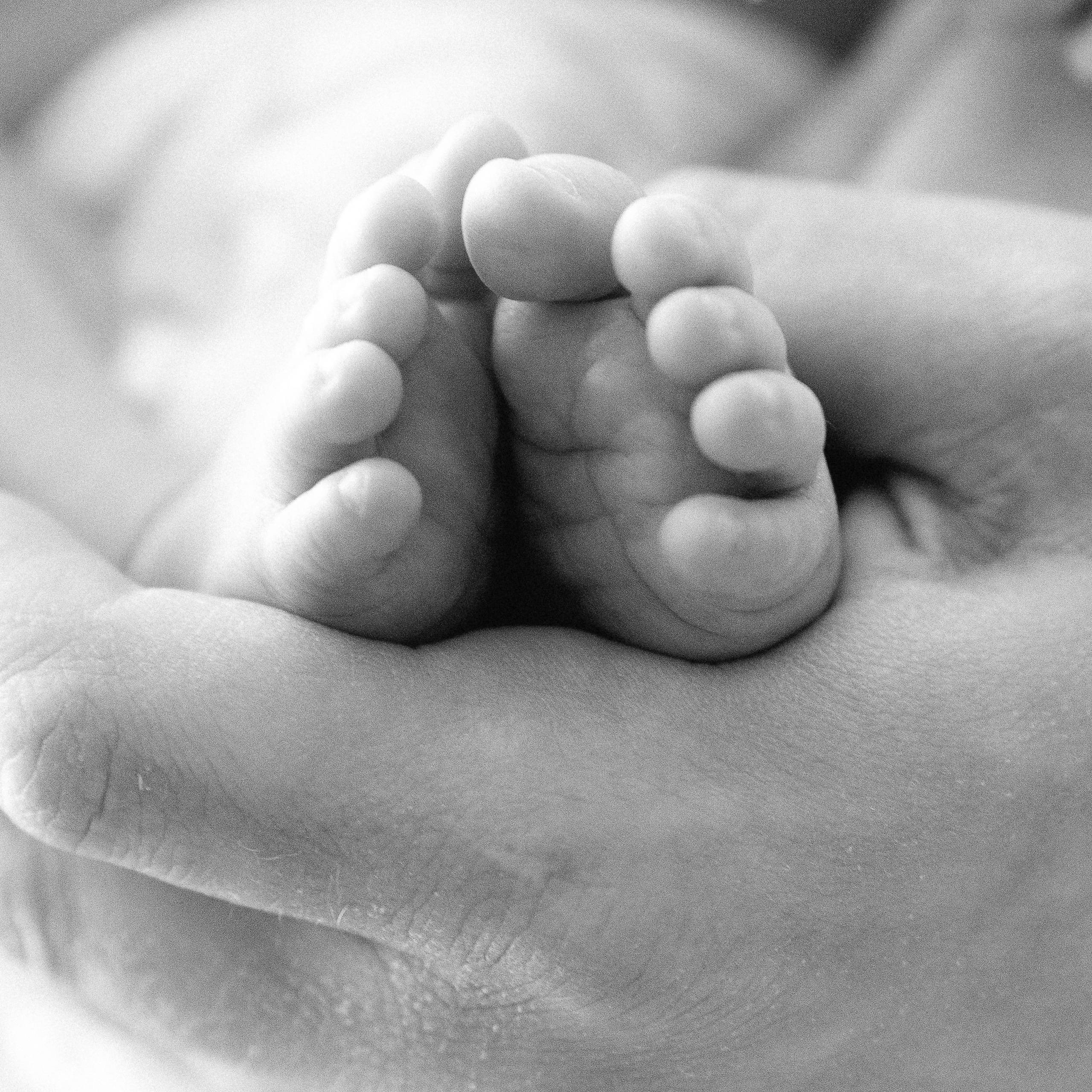 Честные отзывы. Фотограф в Минске