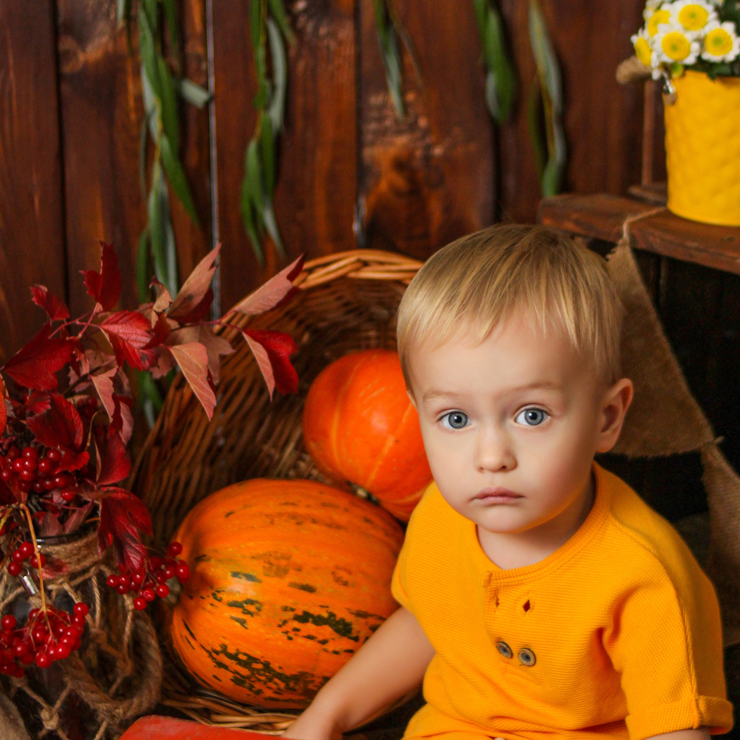 Отзывы. ФОТОГРАФ НОВОРОЖДЁННЫХ И ДЕТЕЙ ДО 3 ЛЕТ