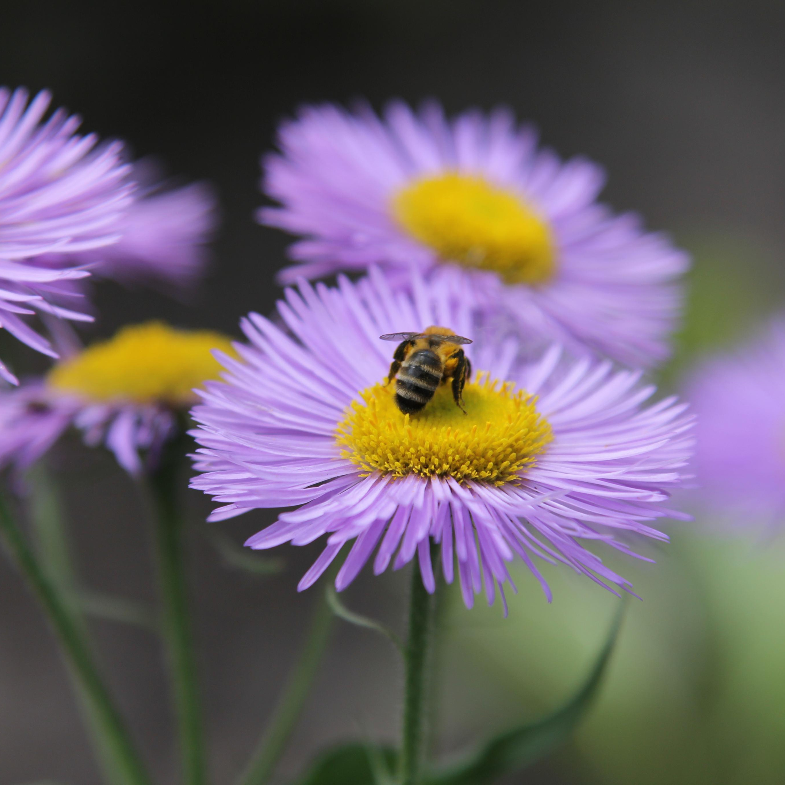 Томск, 20 июня 2020