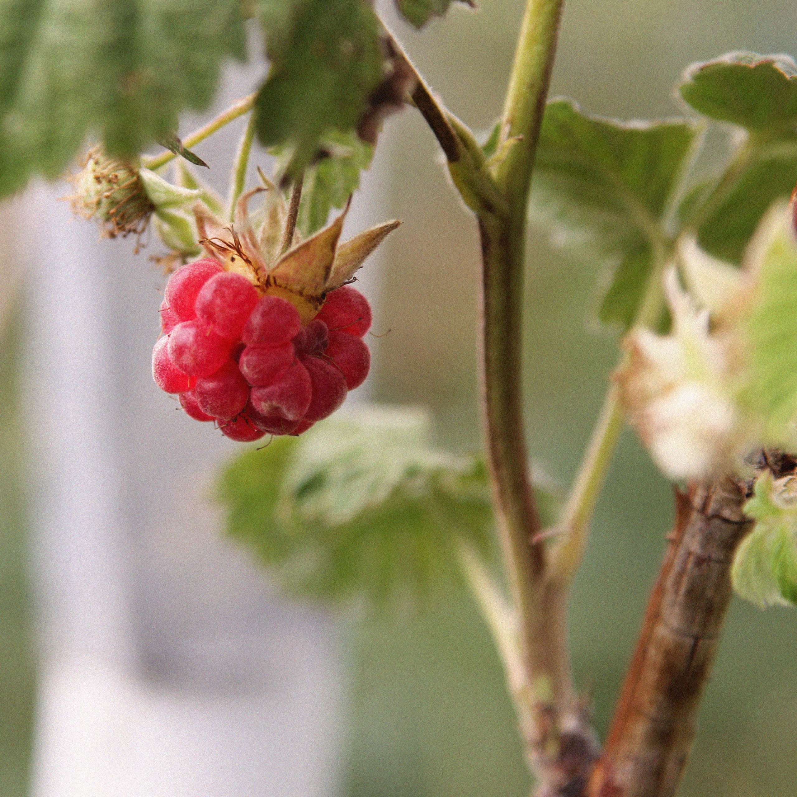 Томск, июль 2020