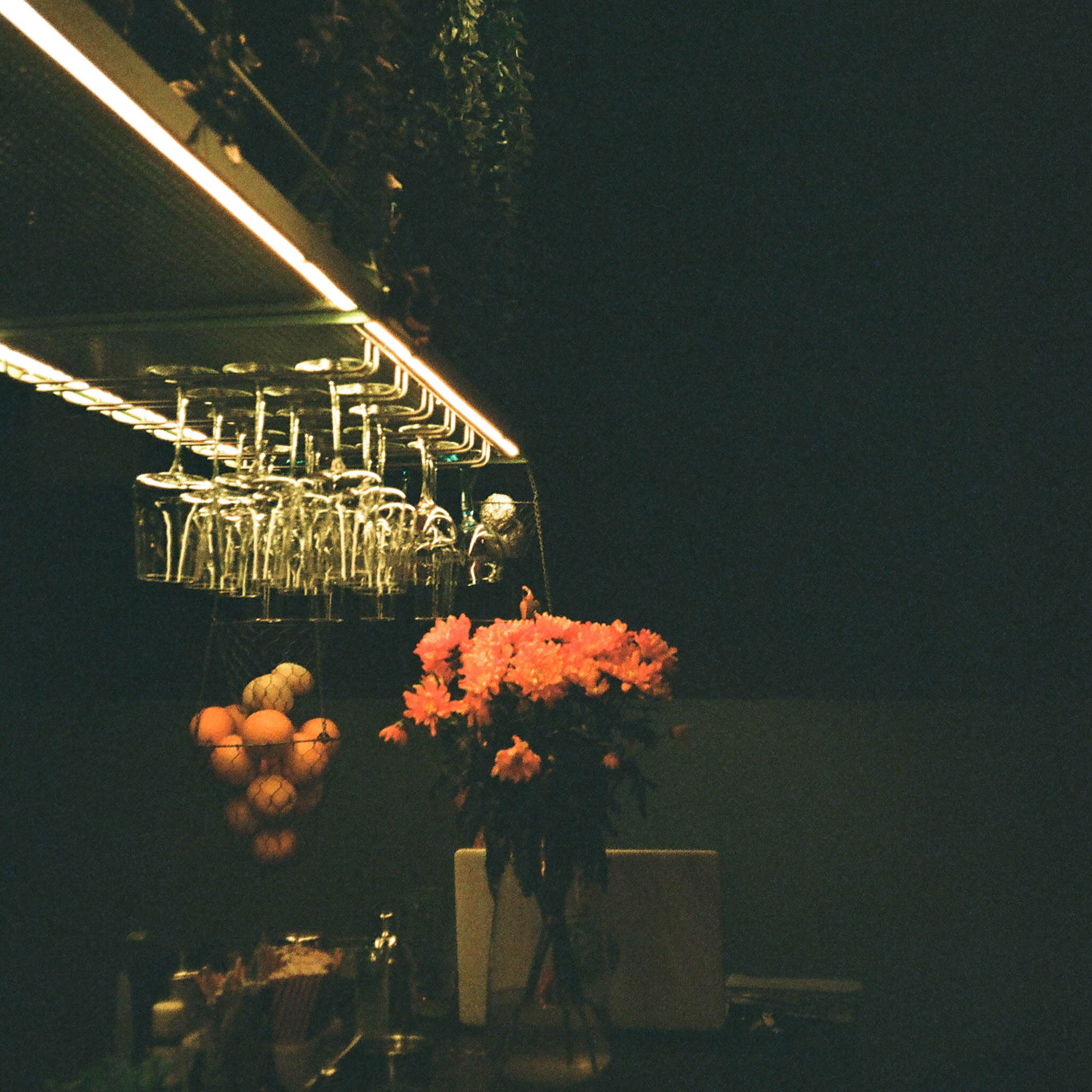 Пленка № 3