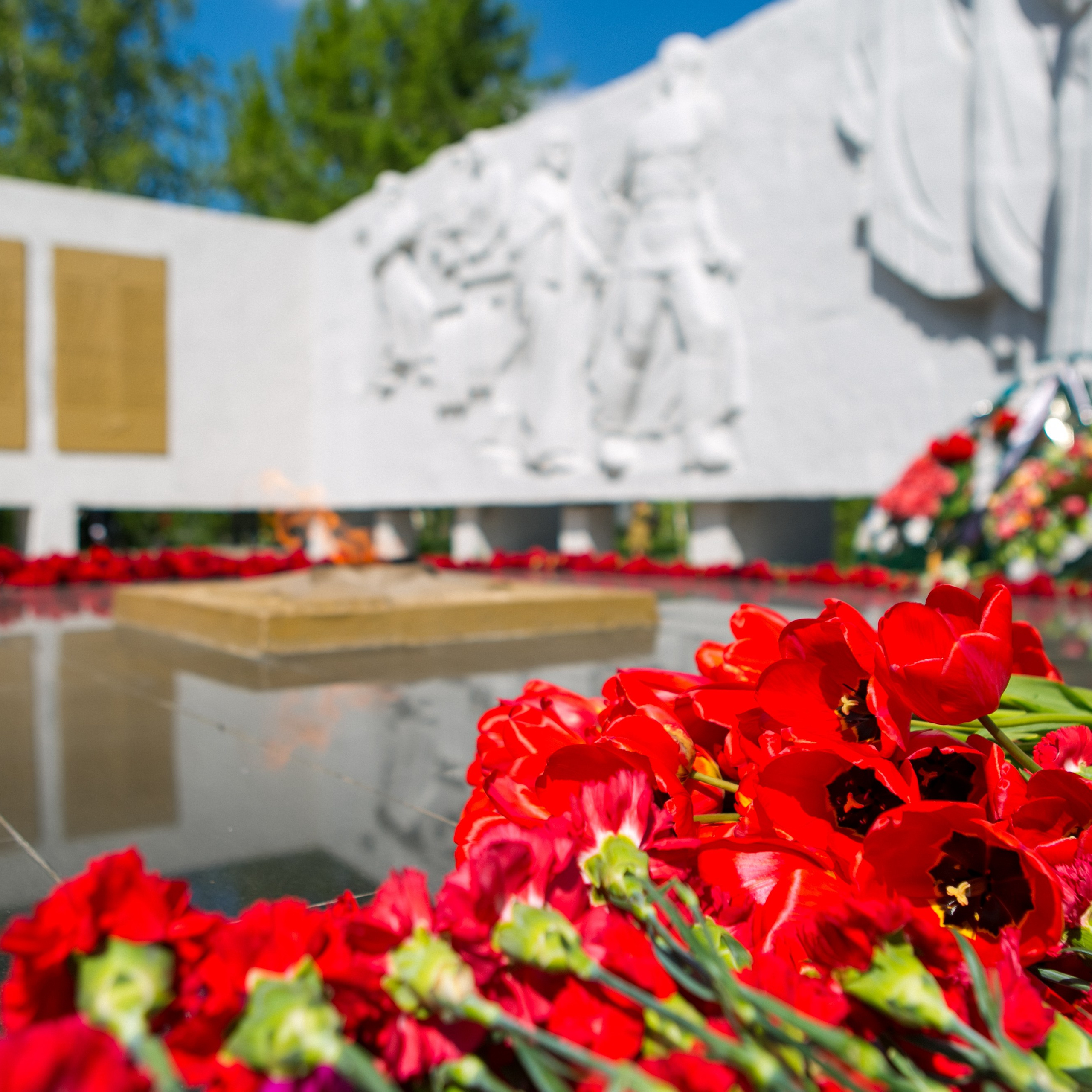 Отзывы о фотографе Алевтине Семенютиной. Выпускные фотоальбомы и папки для школ и садиков в Челябинске