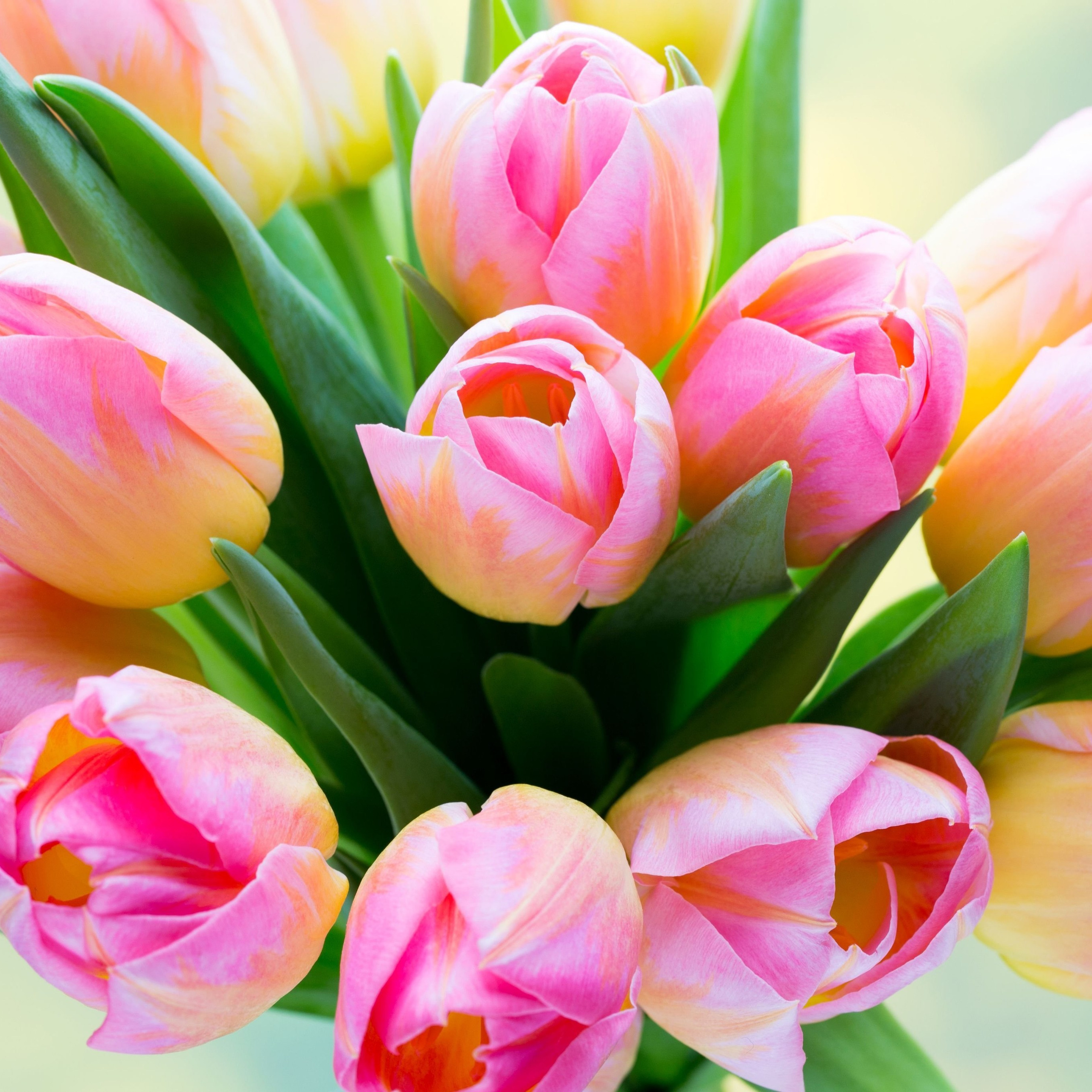 Отзывы. Фотограф новорожденных и семейный фотограф НСО г. Бердск Марина Львова