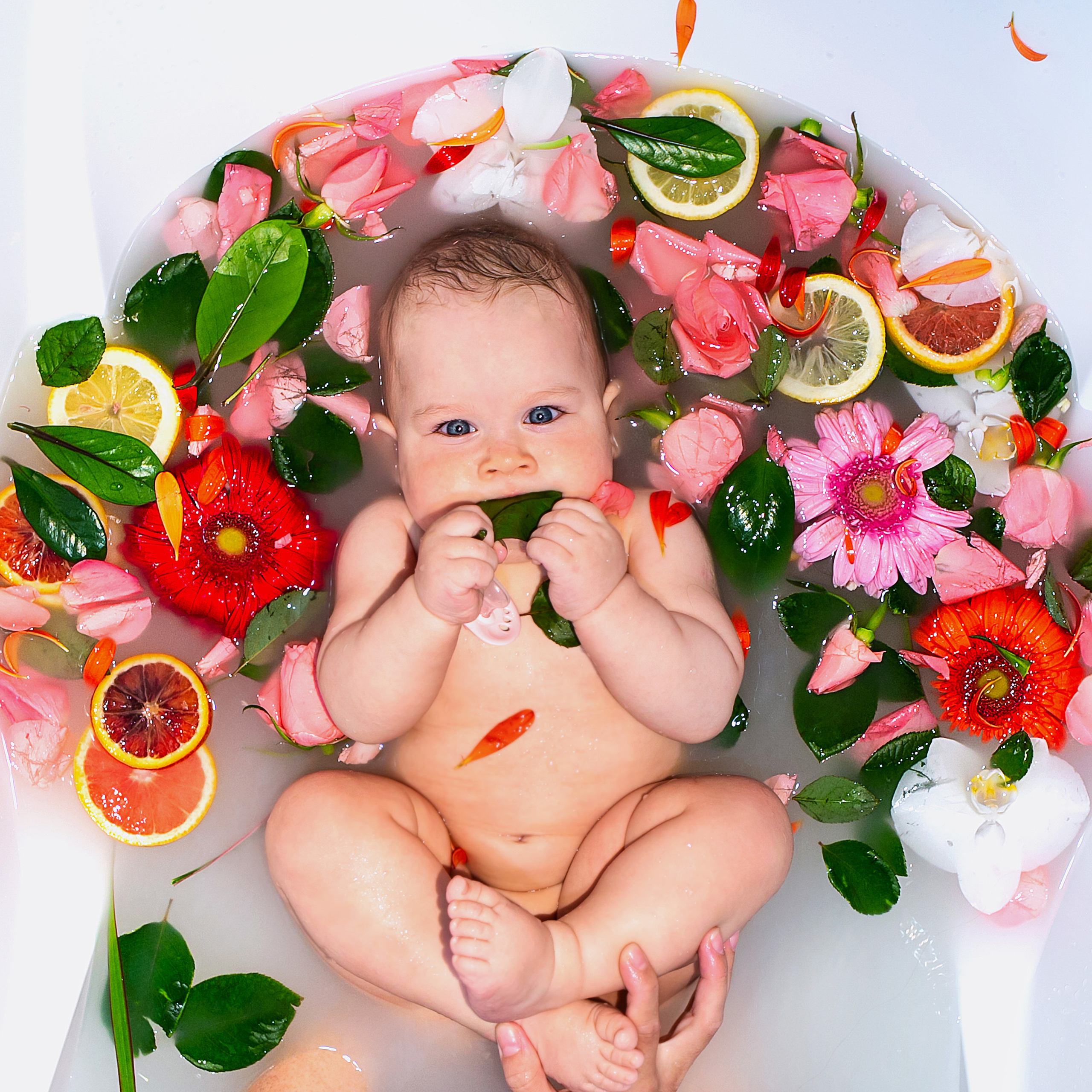 Отзывы. Фотограф новорожденных и семейный фотограф НСО г. Бердск Марина Львова