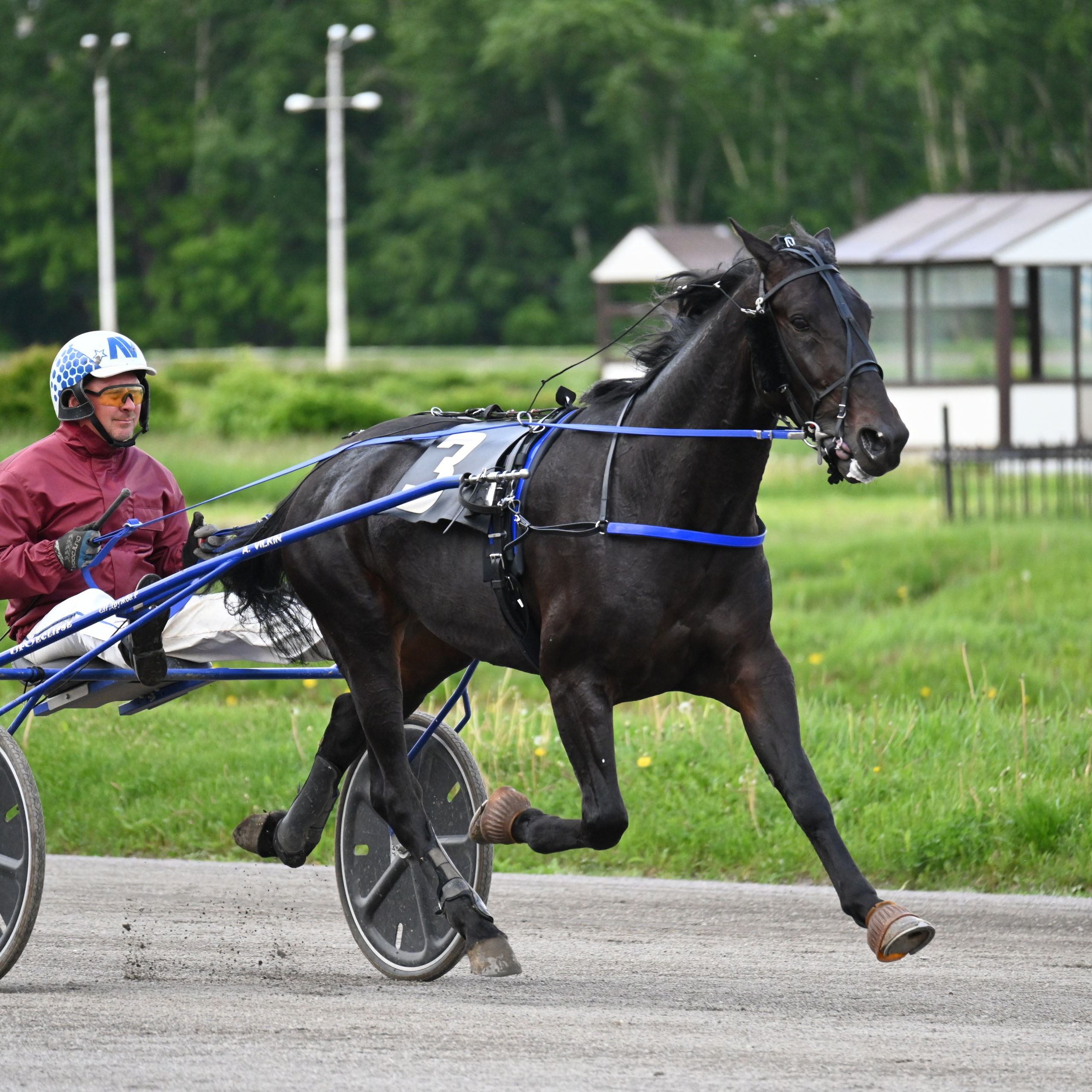 Московский ипподром