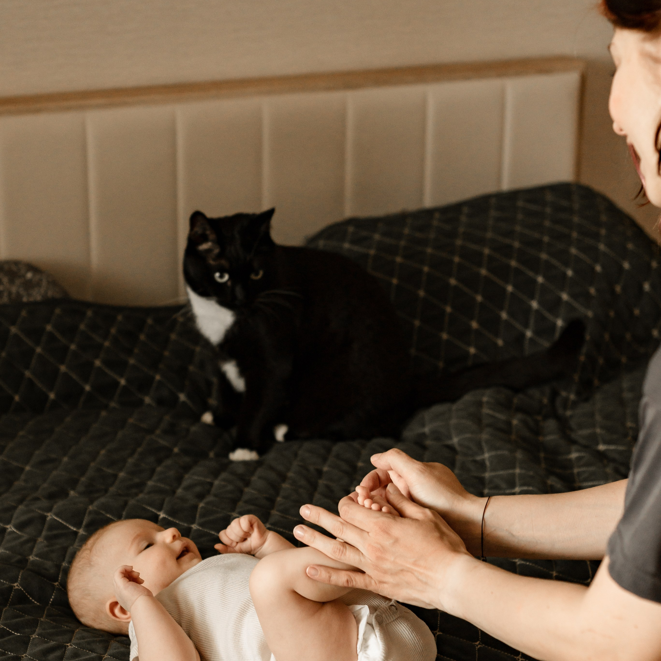 дома хорошо