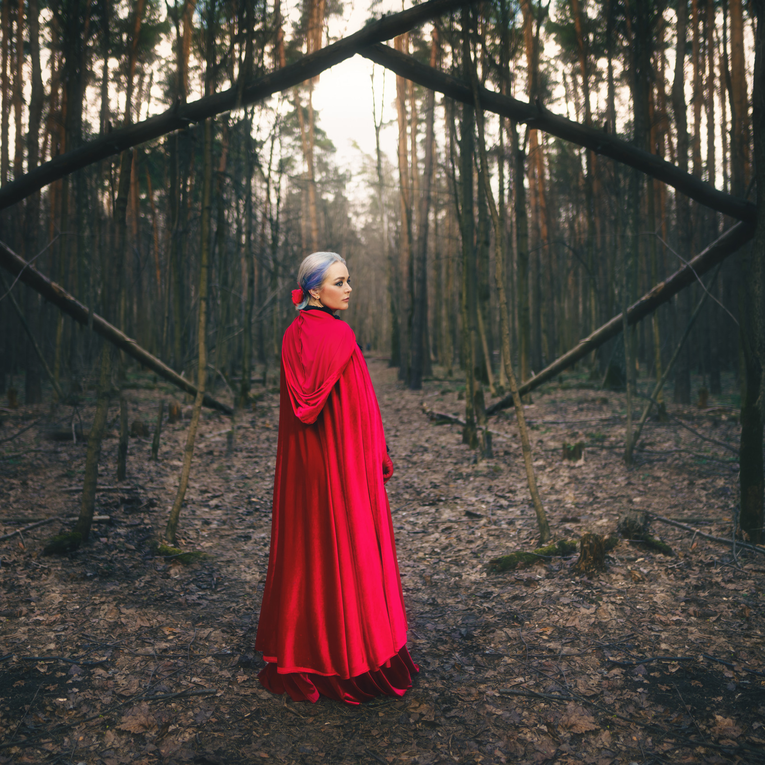 Отзывы. Профессиональное решение для частных лиц и бизнеса