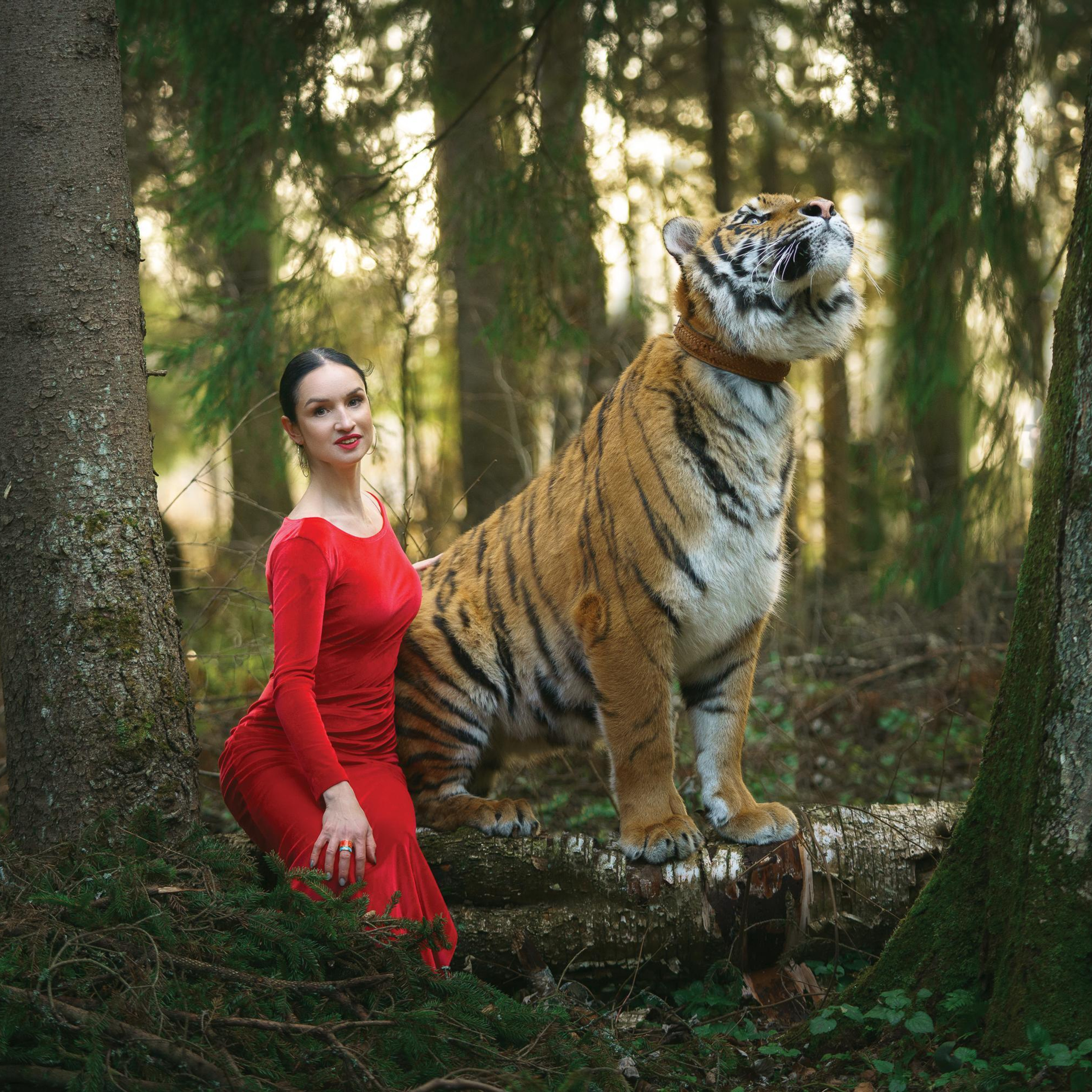 Отзывы. Профессиональное решение для частных лиц и бизнеса