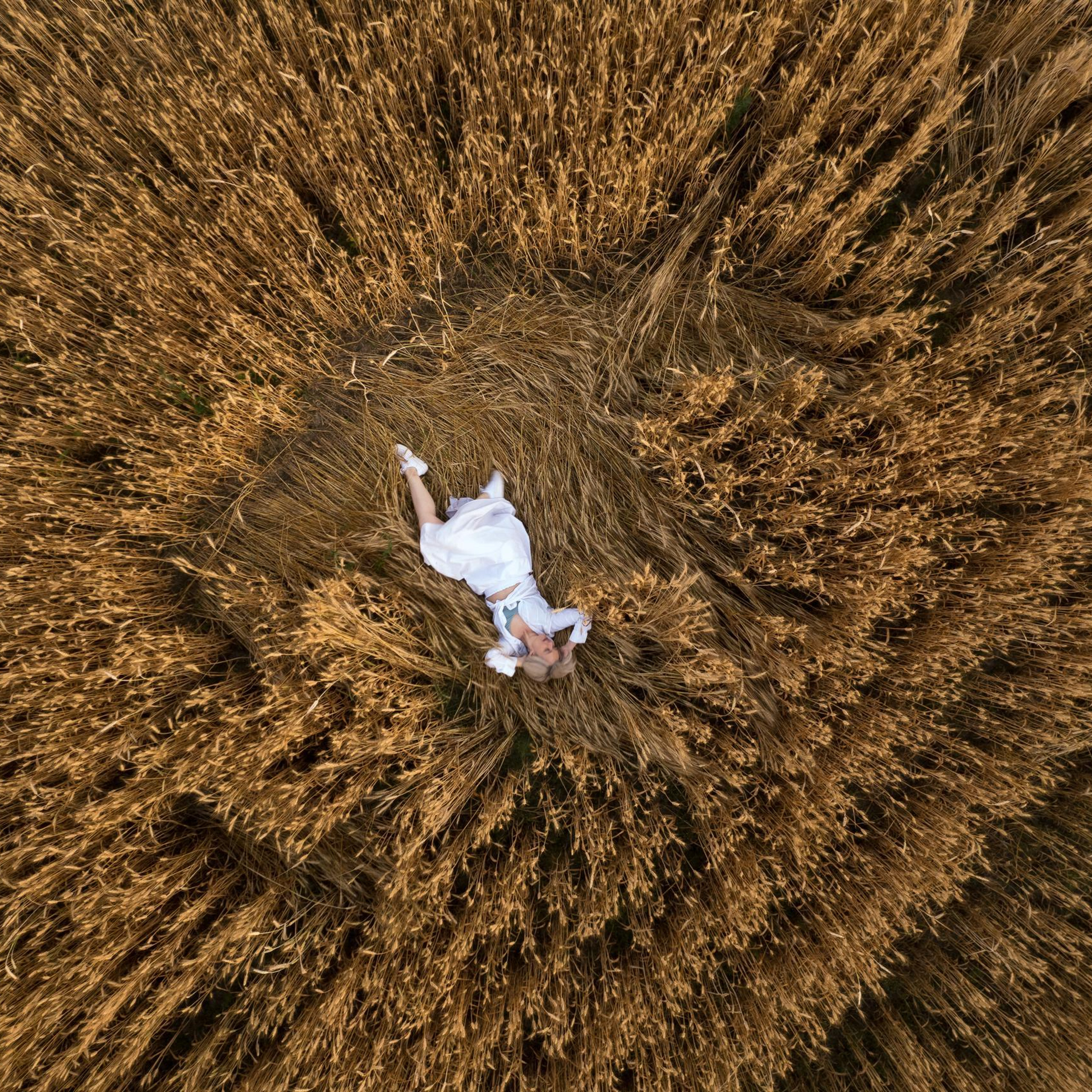 Отзывы. Профессиональное решение для частных лиц и бизнеса