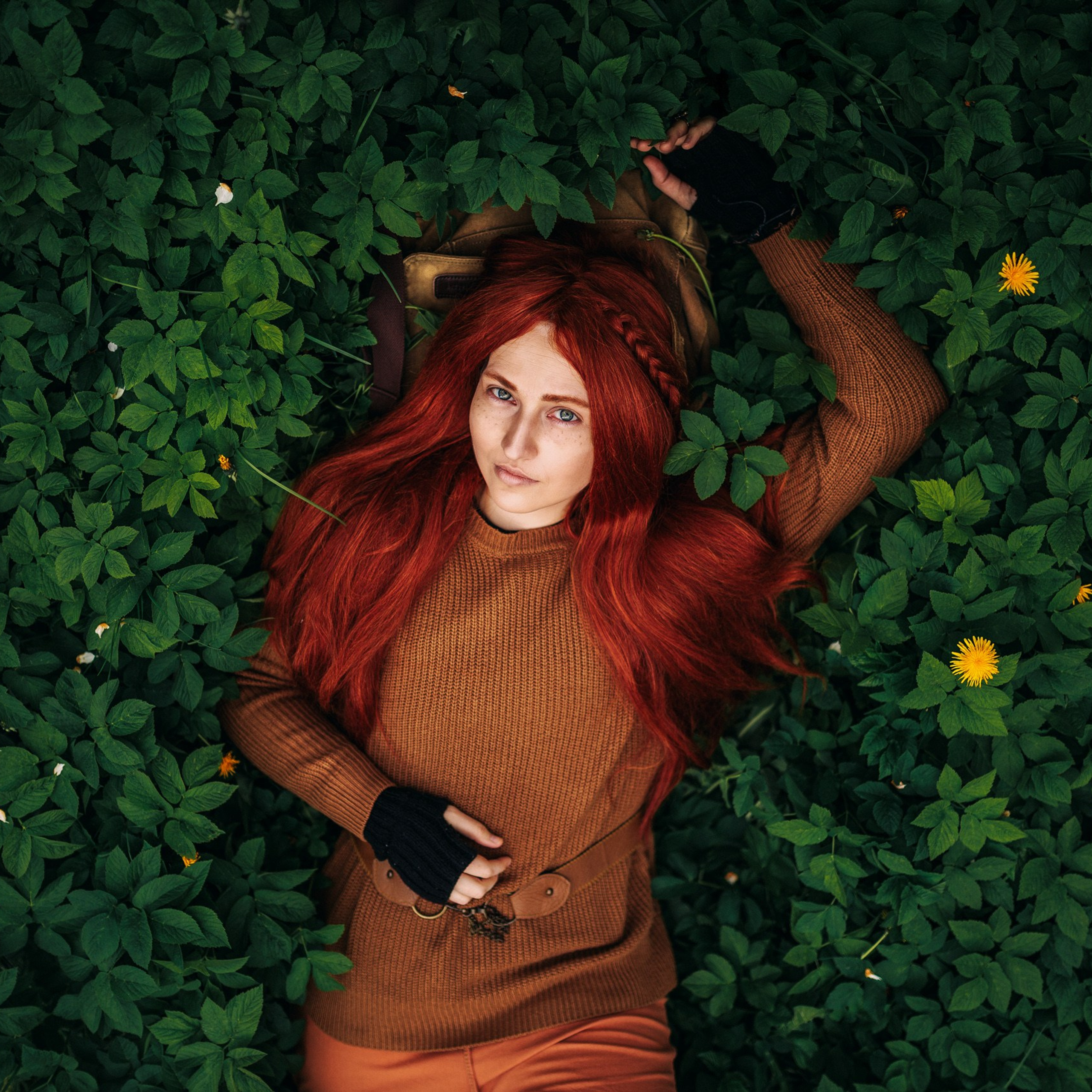 Эльфийский лес