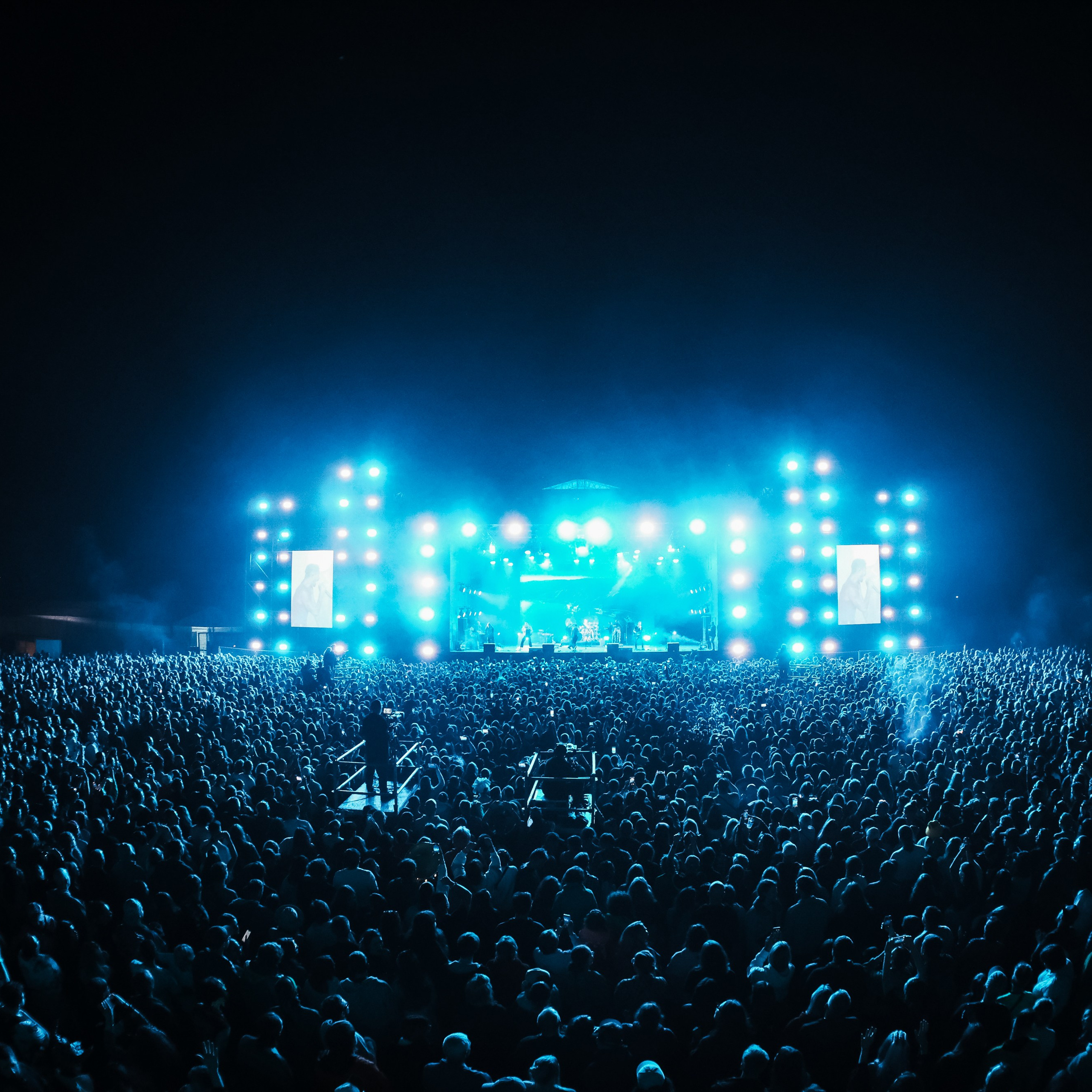 ДИКАЯ МЯТА 14-16.06.24