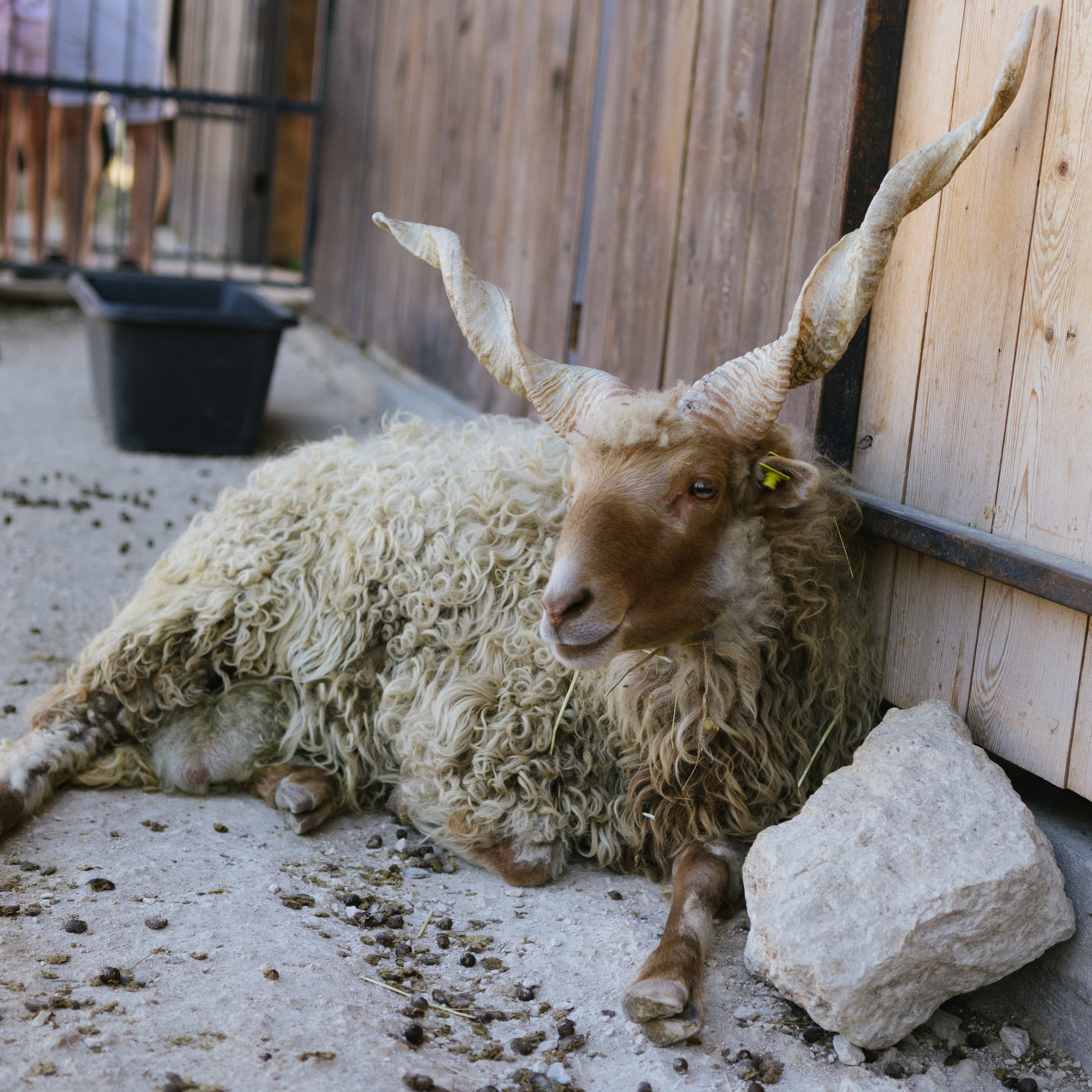 VK МЕСТА АДЫГЕЯ