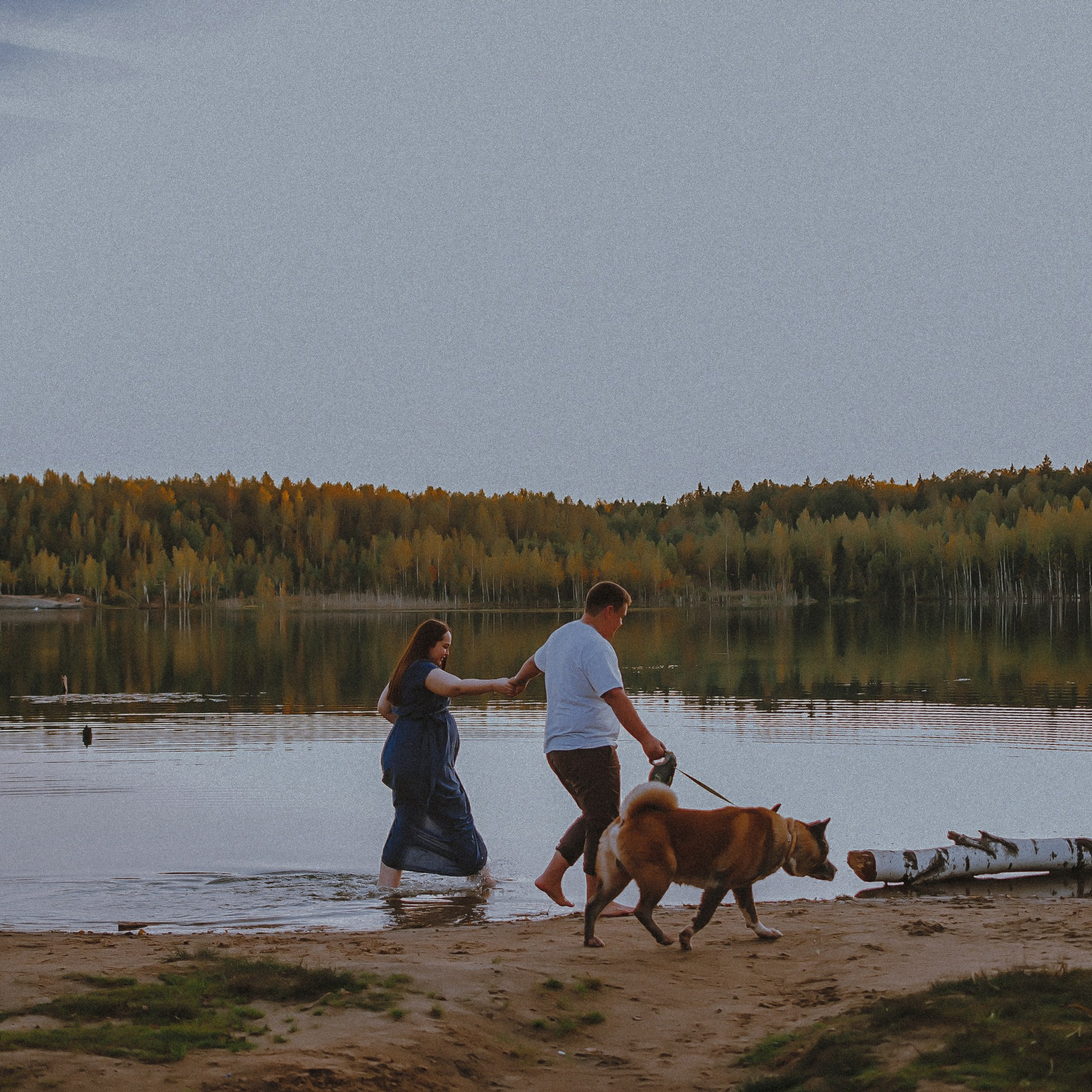 Озеро в лесу