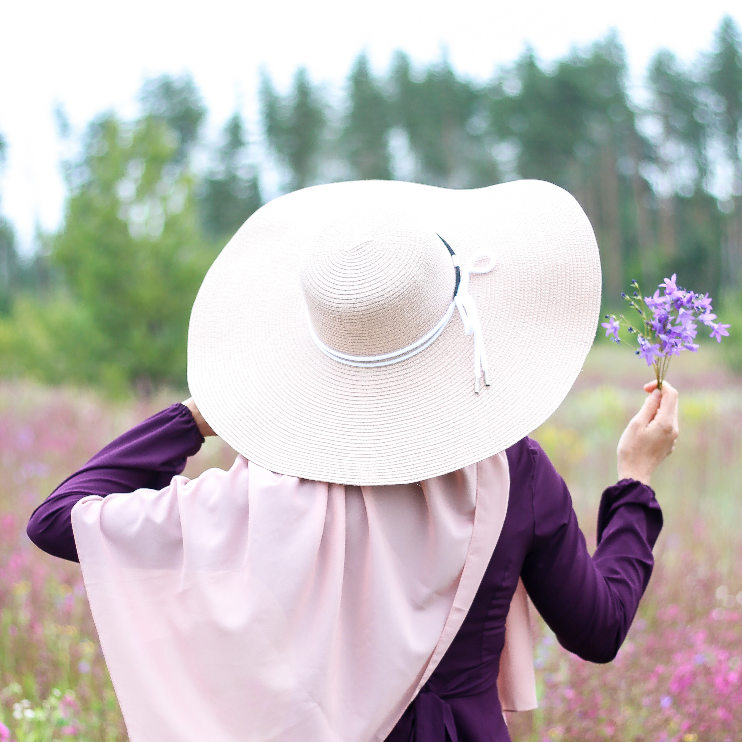 Эльвира — Люпины