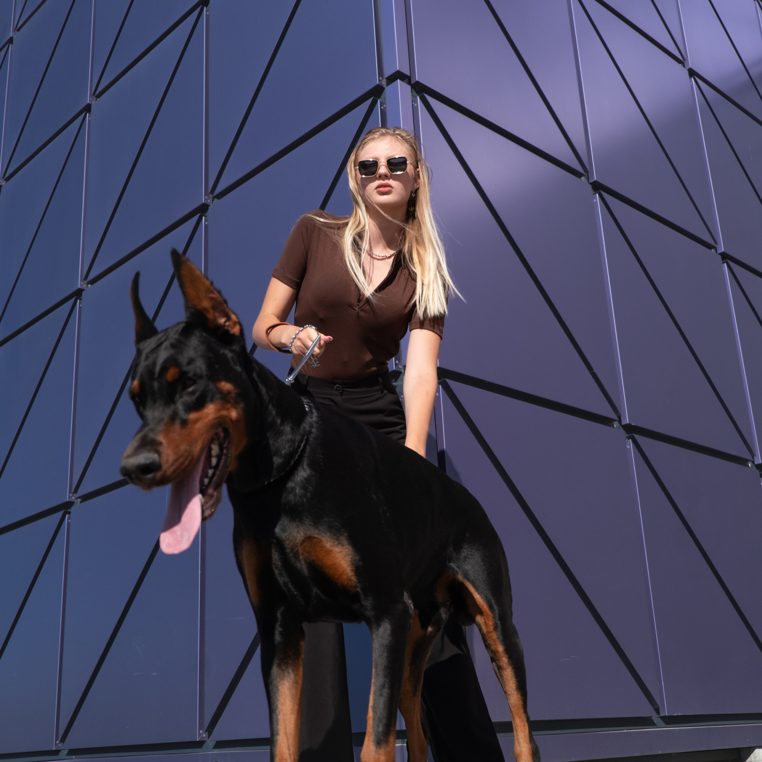 Фотосессия с Доберманом