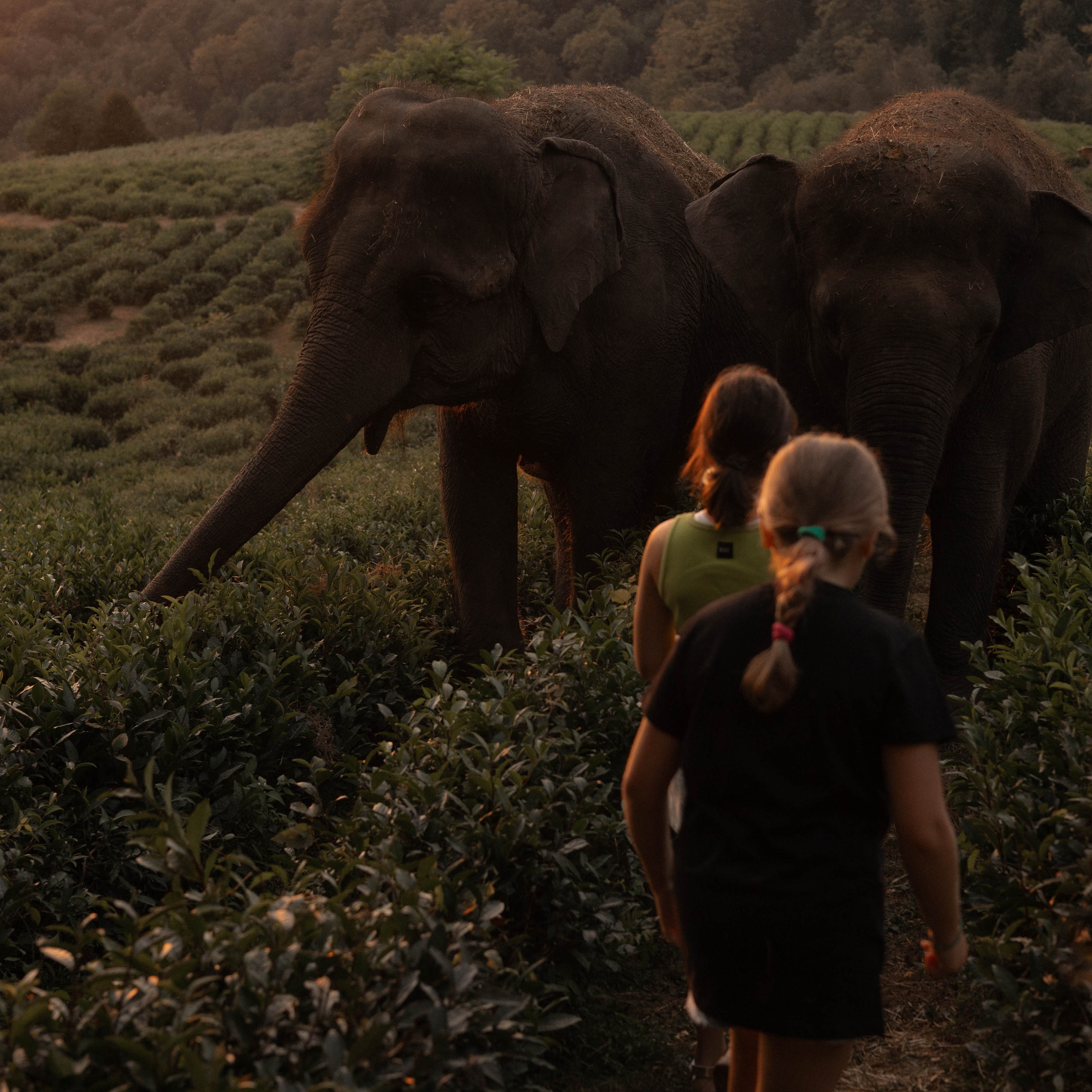 Отзывы. Фотограф в жанре ню в Сочи Анна Снежкина