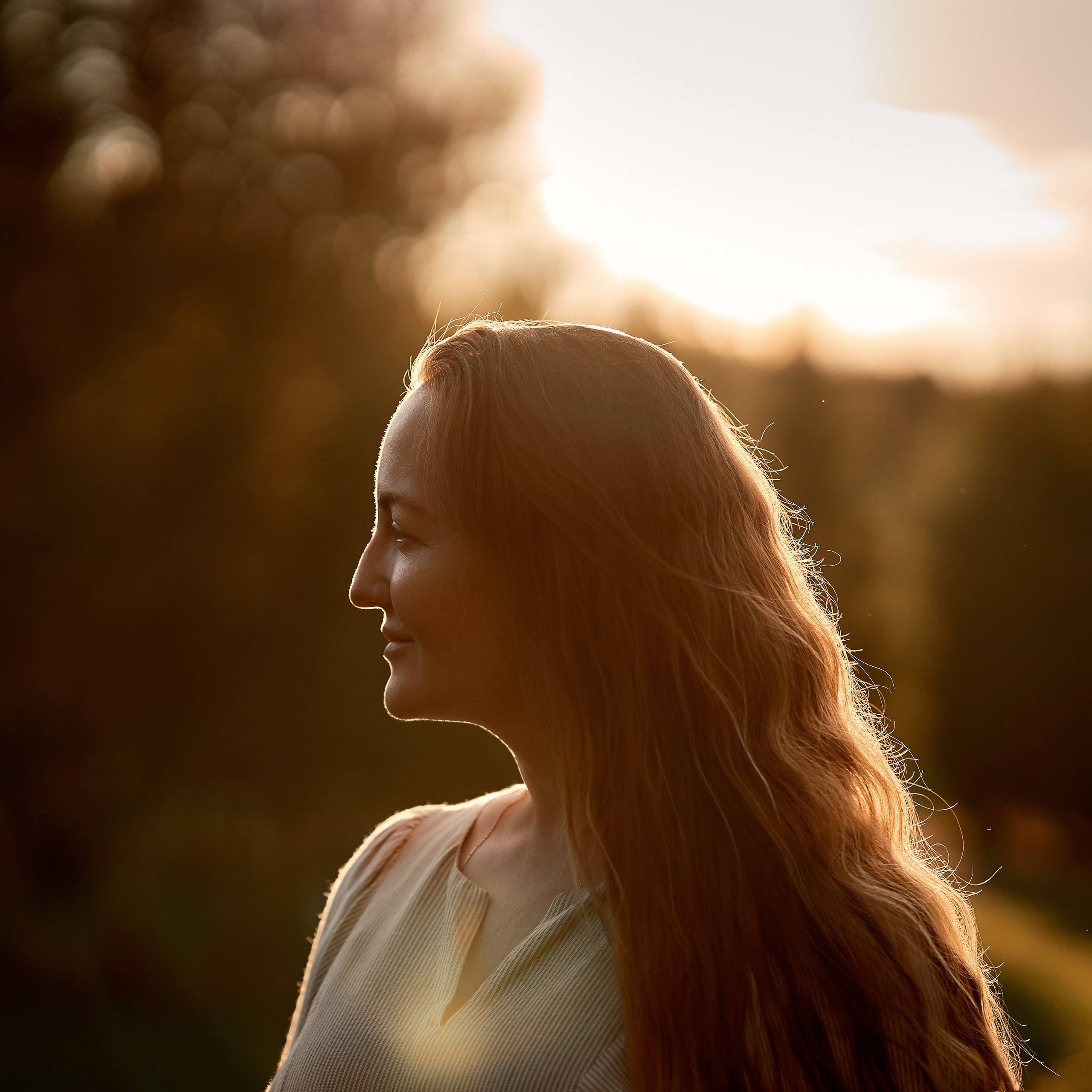 Мещерский лес