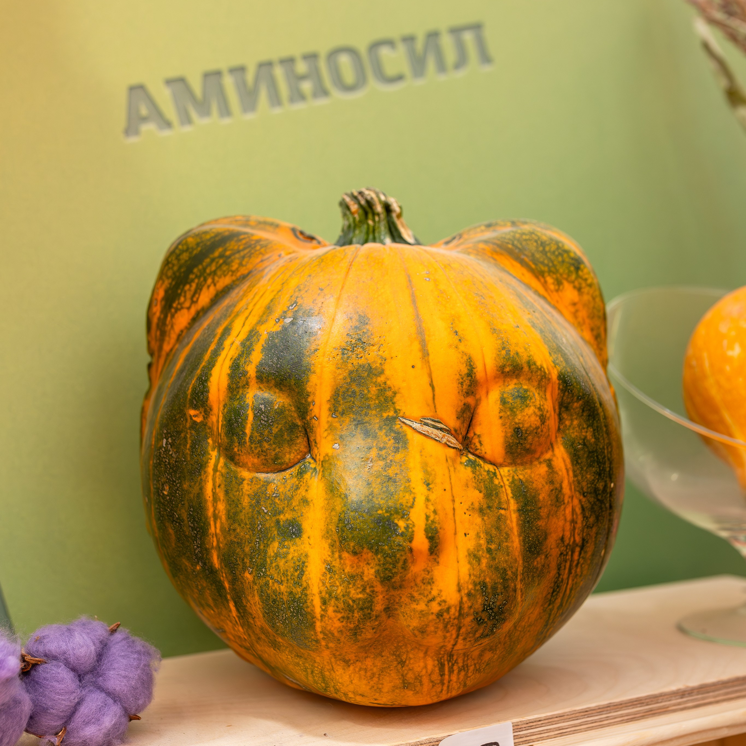 Овощи-гиганты