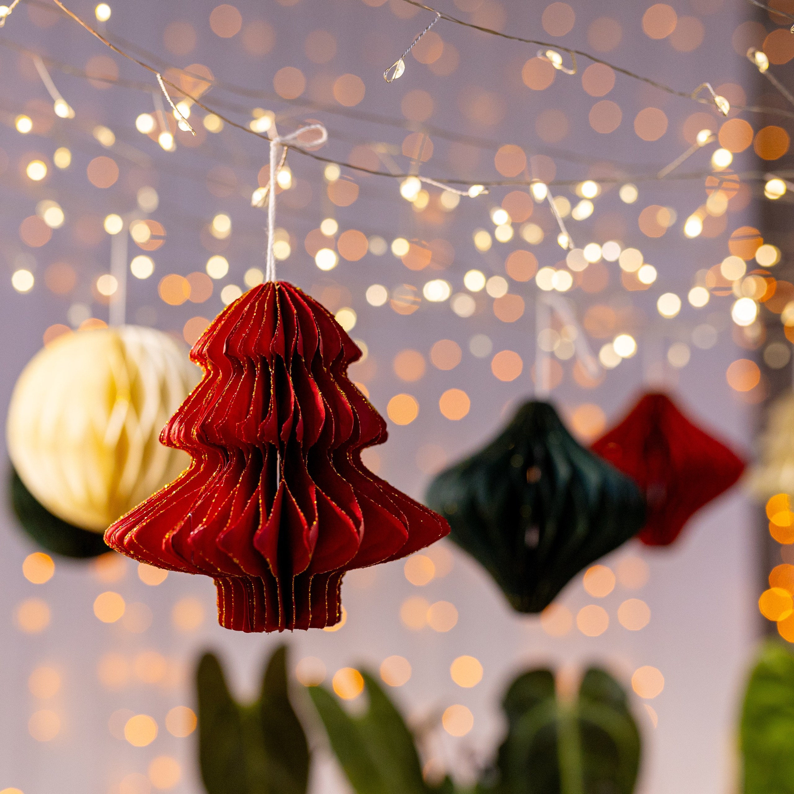 Орхидиум 12.2025