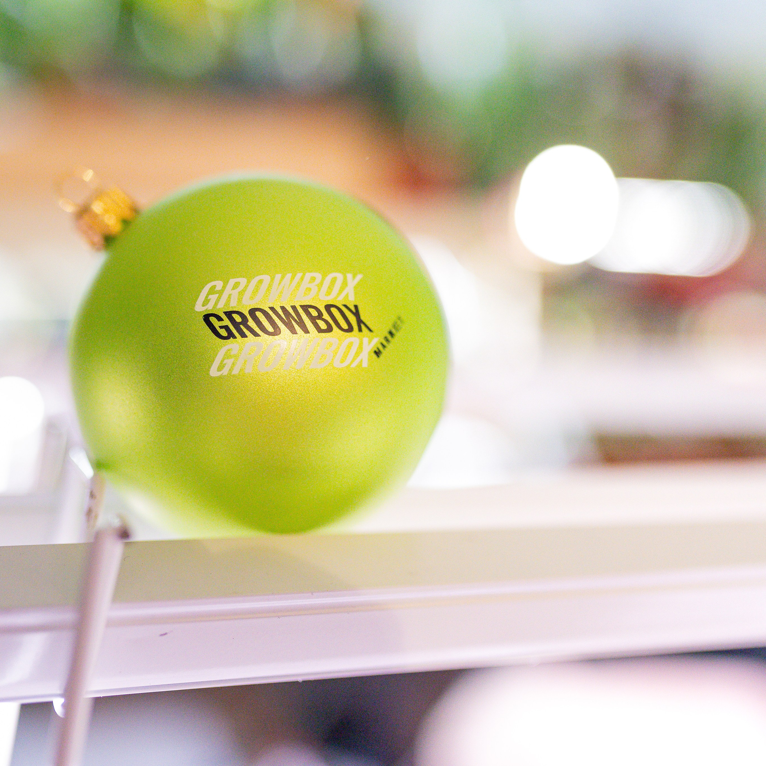 Growbox декабрь 2025