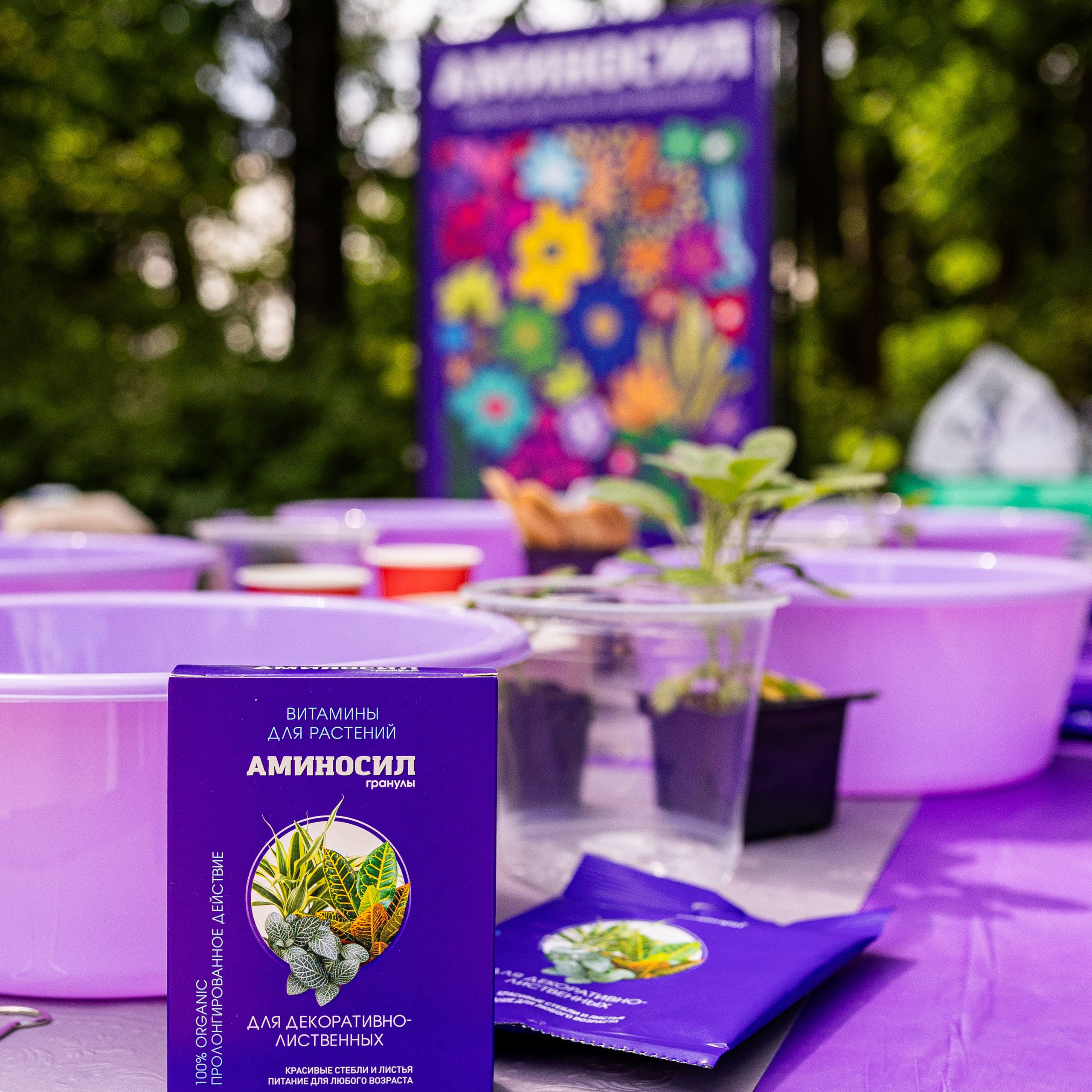 Мастер-класс от Аминосил