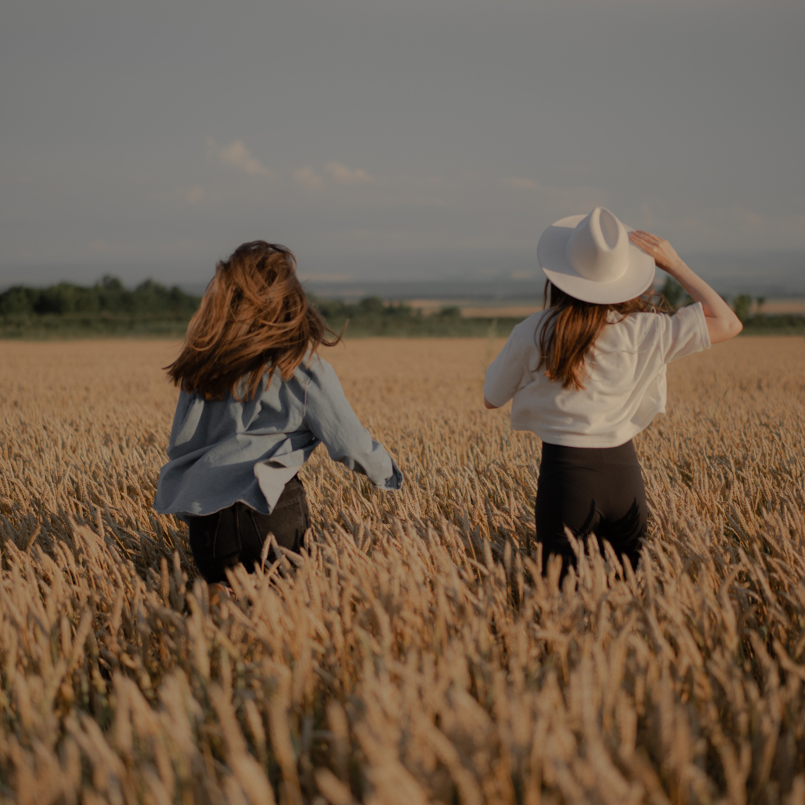 Поле овсянки