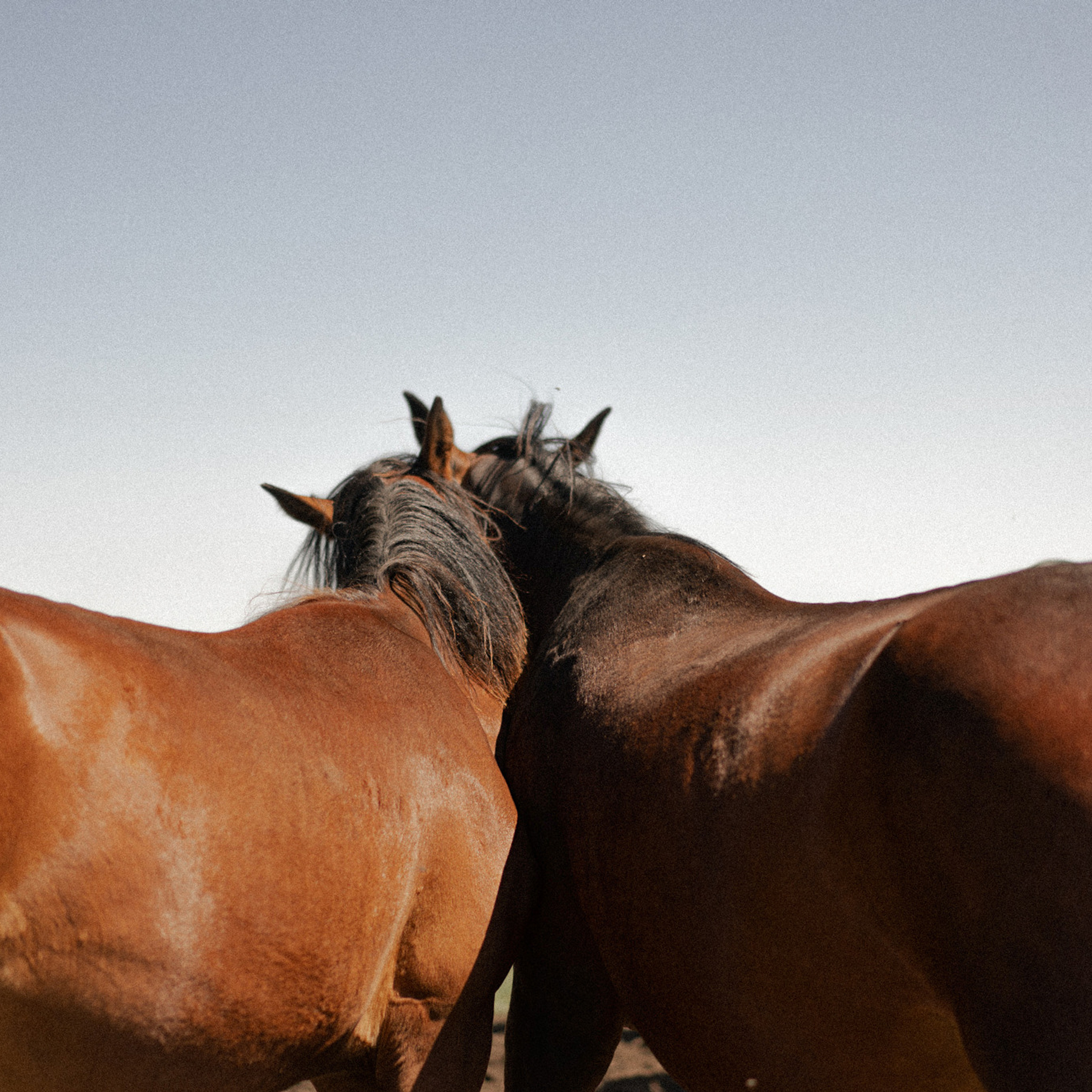 Бермамыт. Кавказ.