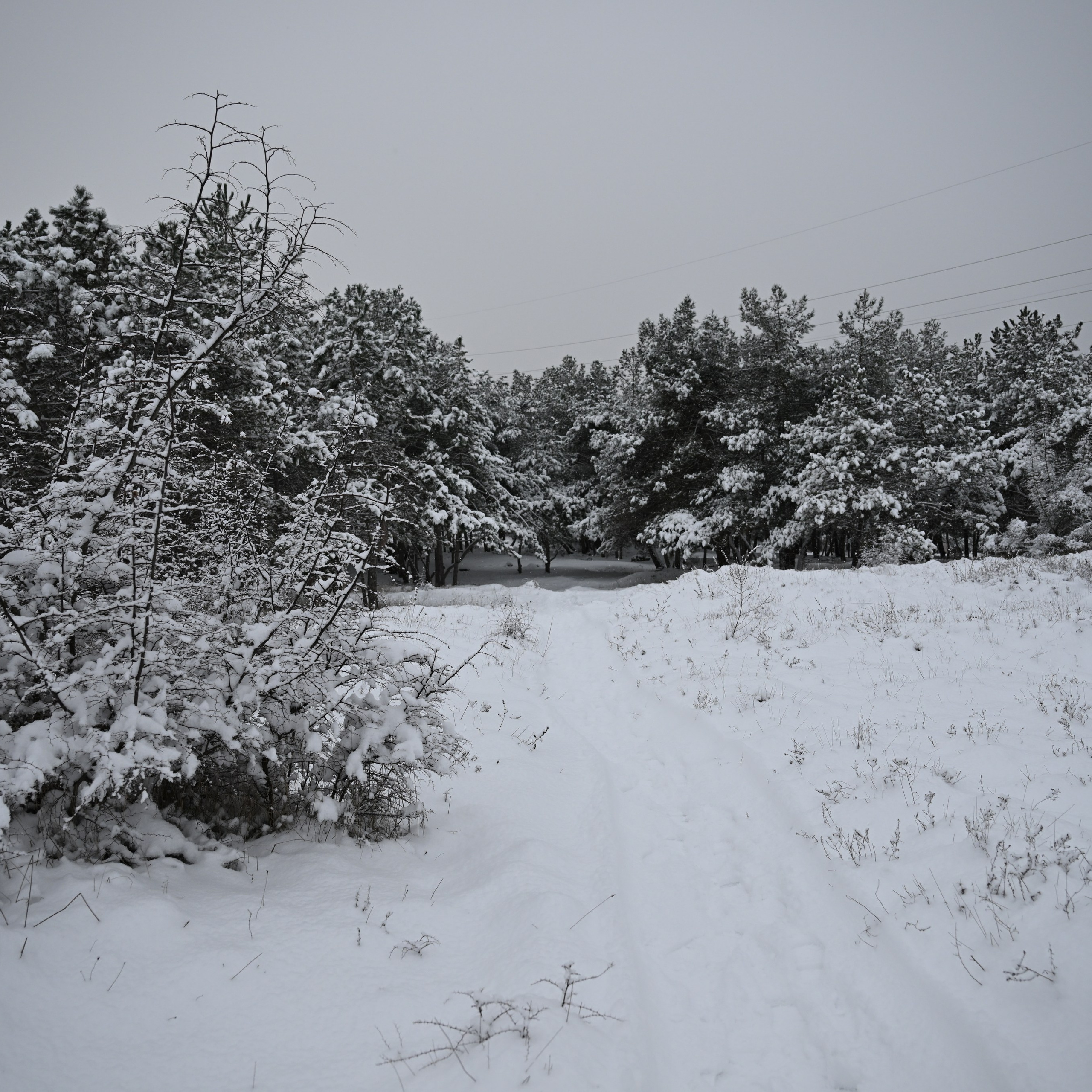 Отзывы. Студийный и свадебный фотограф и видеограф в Севастополе — Юлия Макаренко