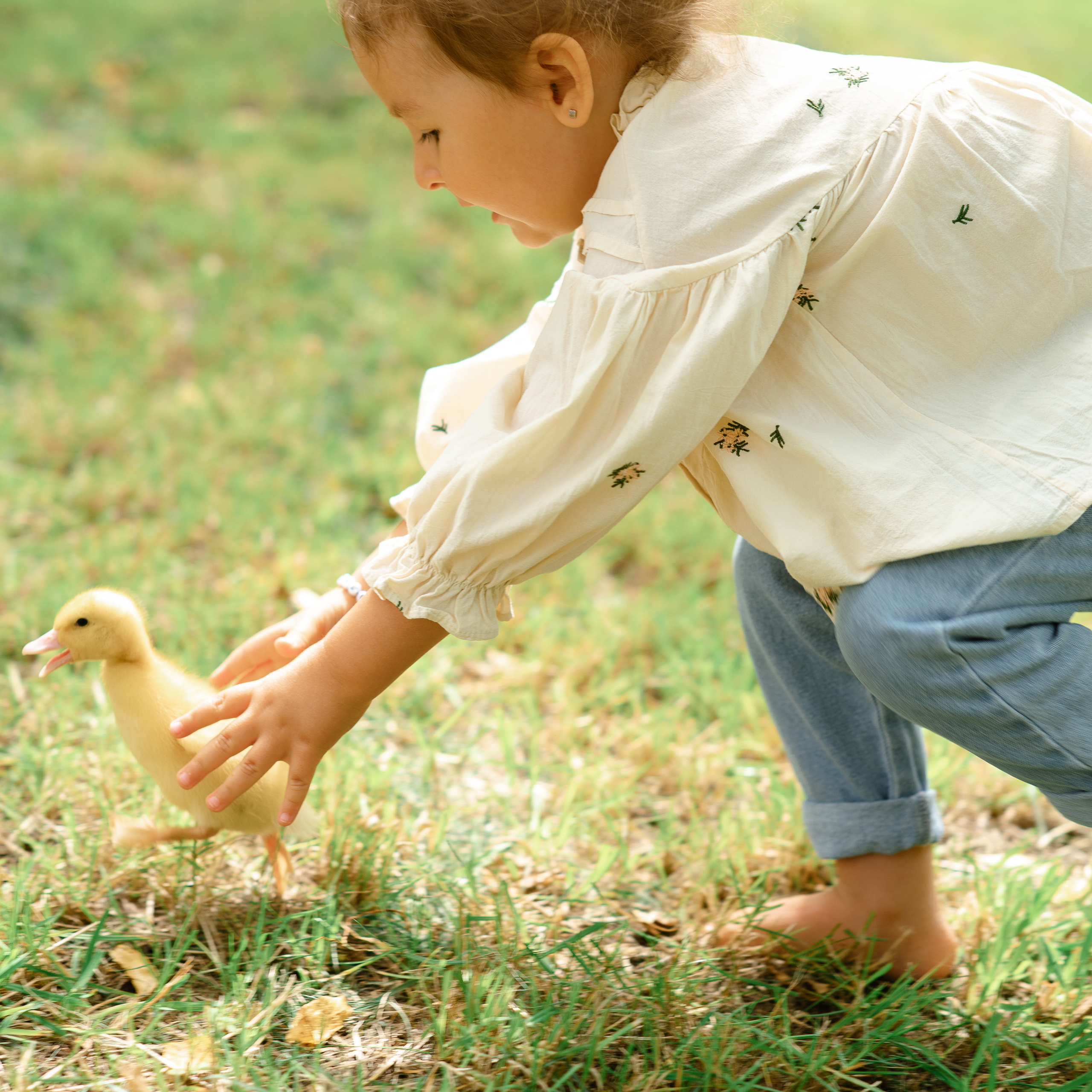 фотосессии с утятами