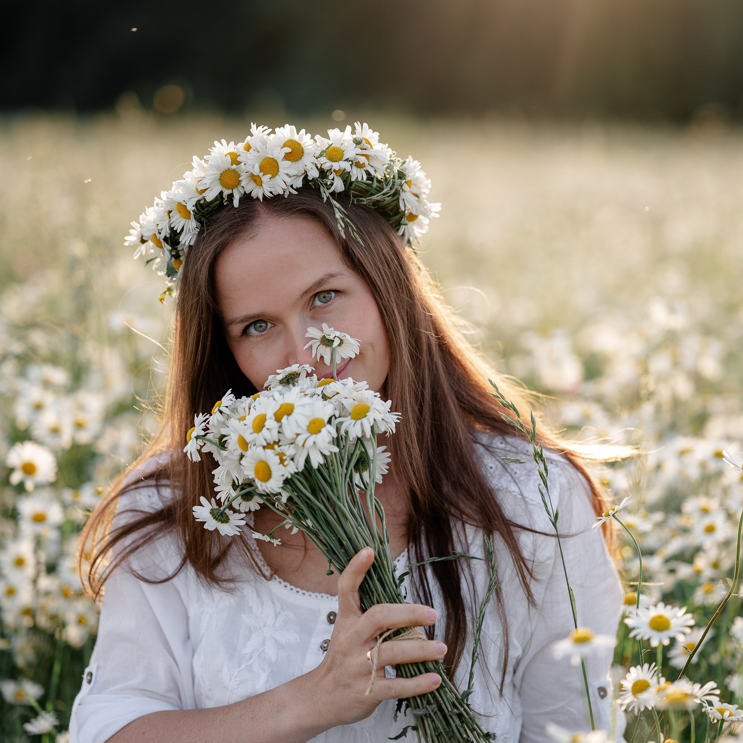 поле ромашек