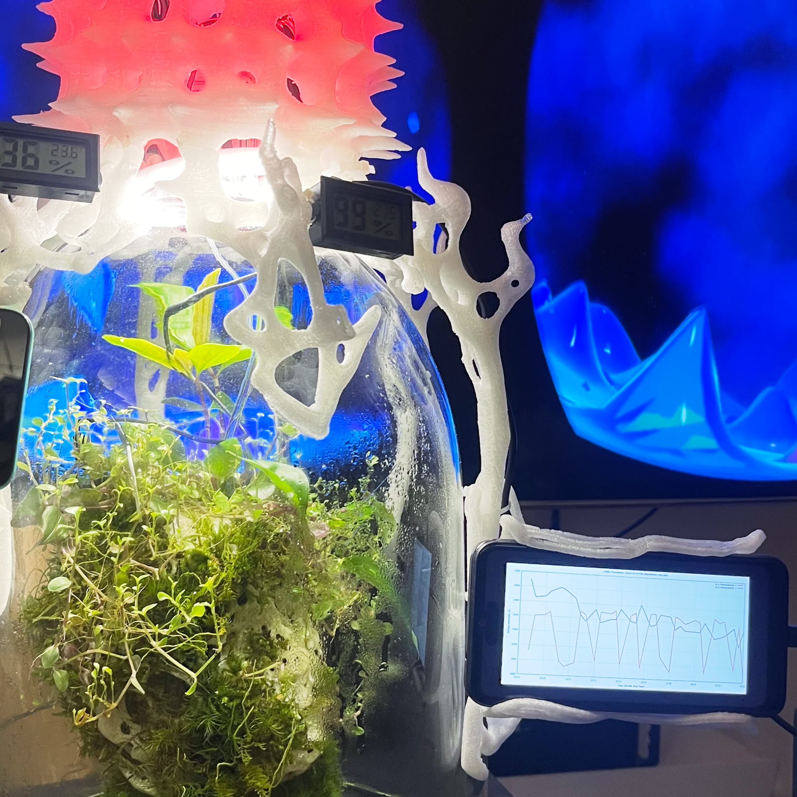 Biosynergy #101. Саша Малышева ● Художник