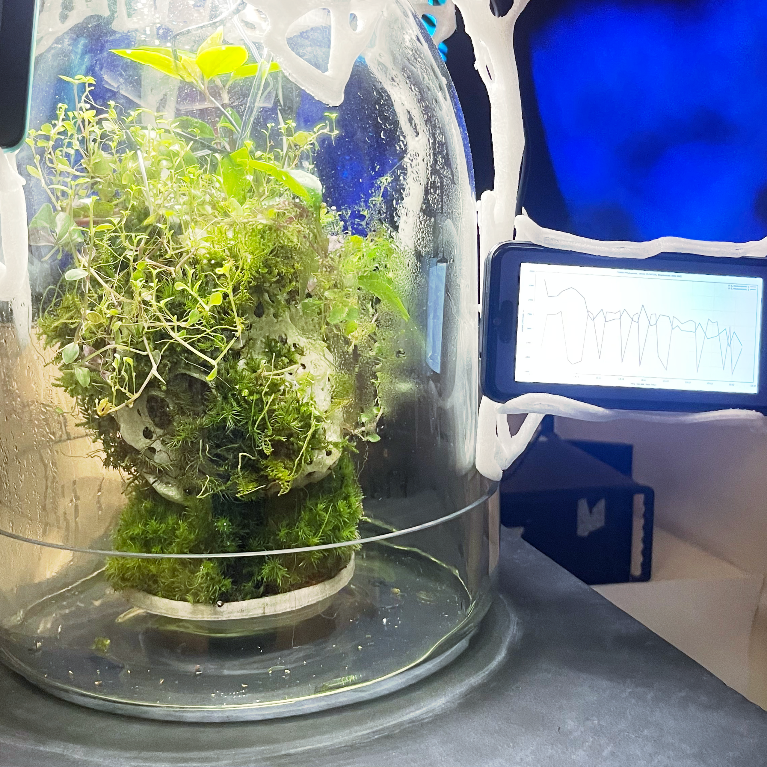 Biosynergy #101. Саша Малышева ● Художник