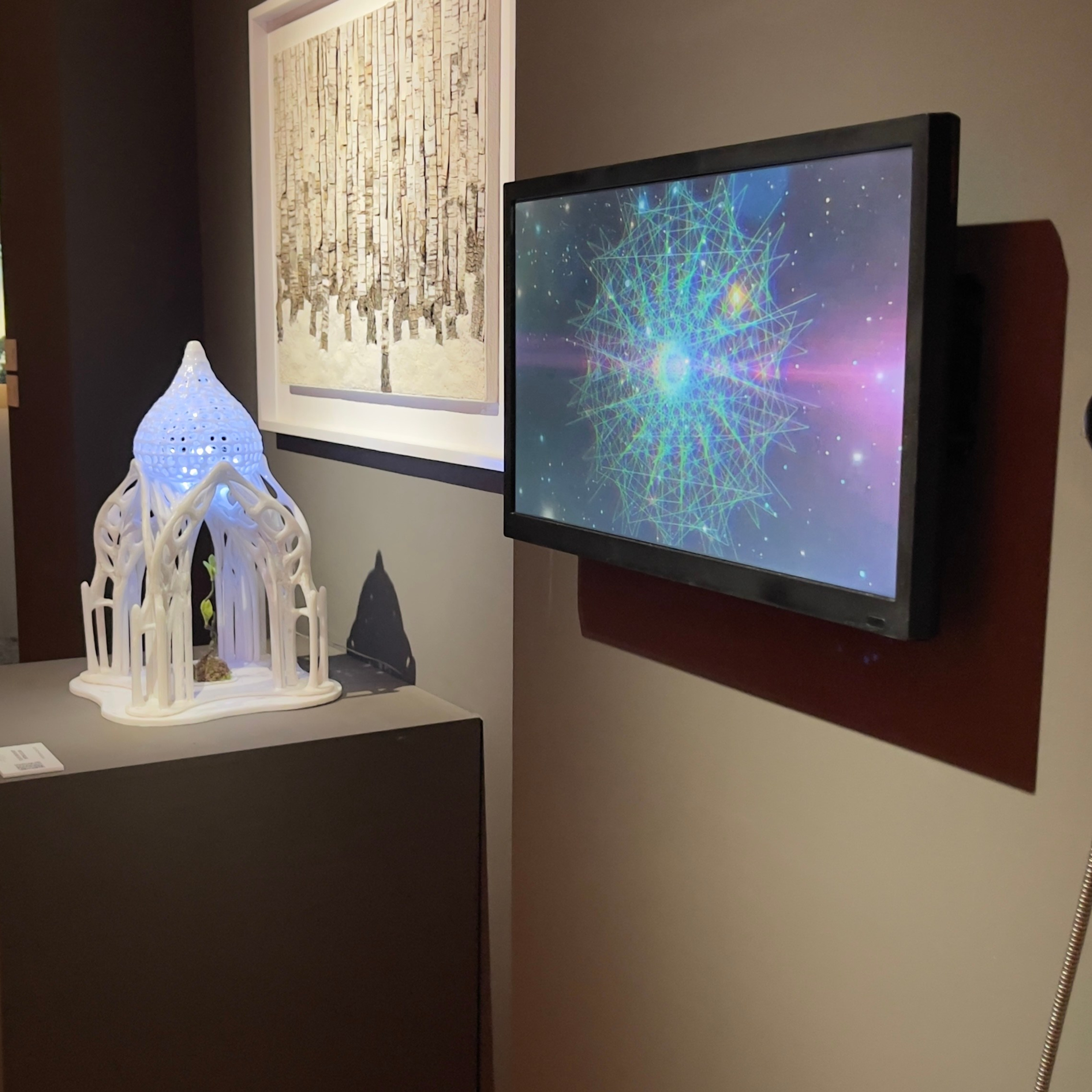 СВОЯСИ | Государственный исторический музей, 2025. Саша Малышева ● Художник