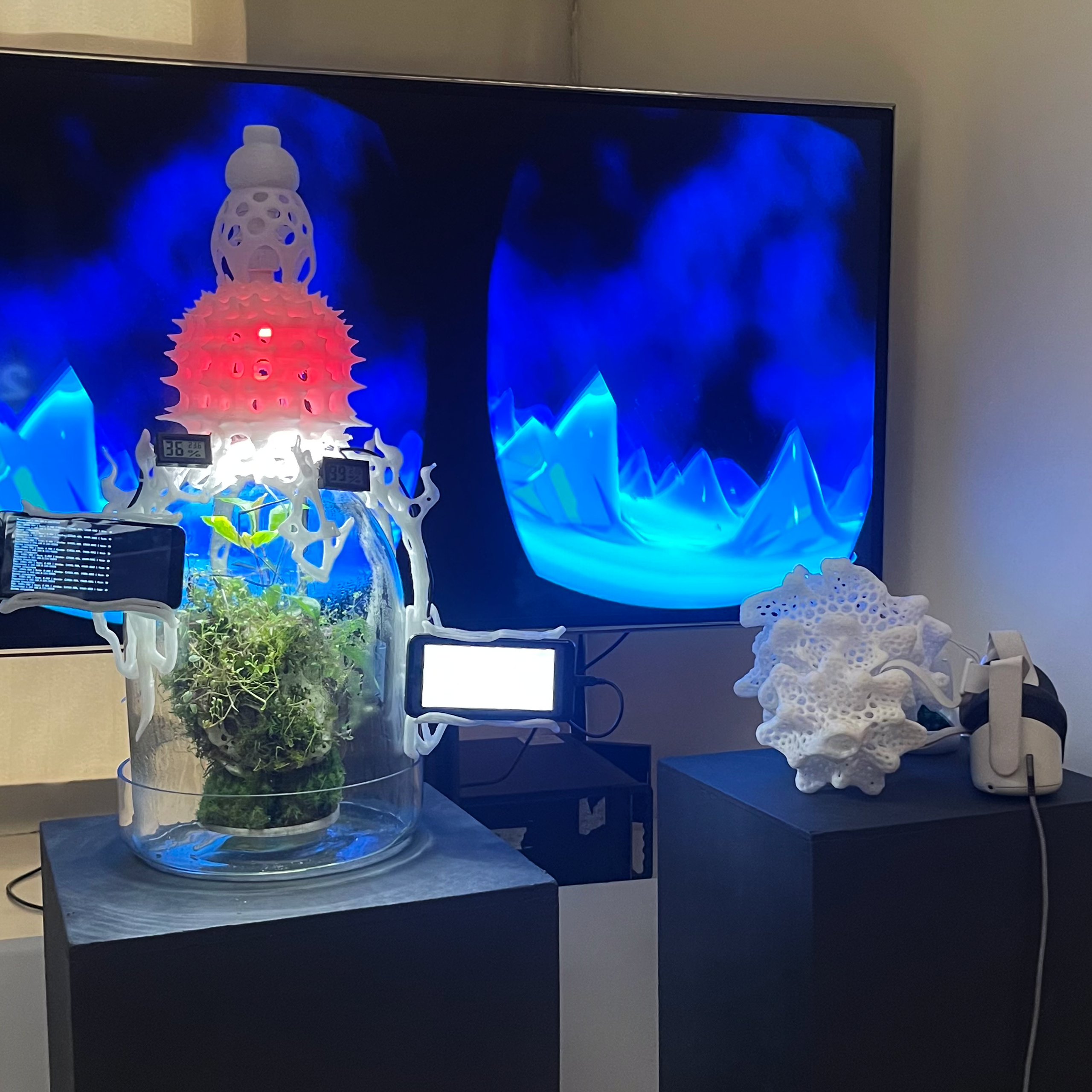 Biosynergy #101. Саша Малышева ● Художник