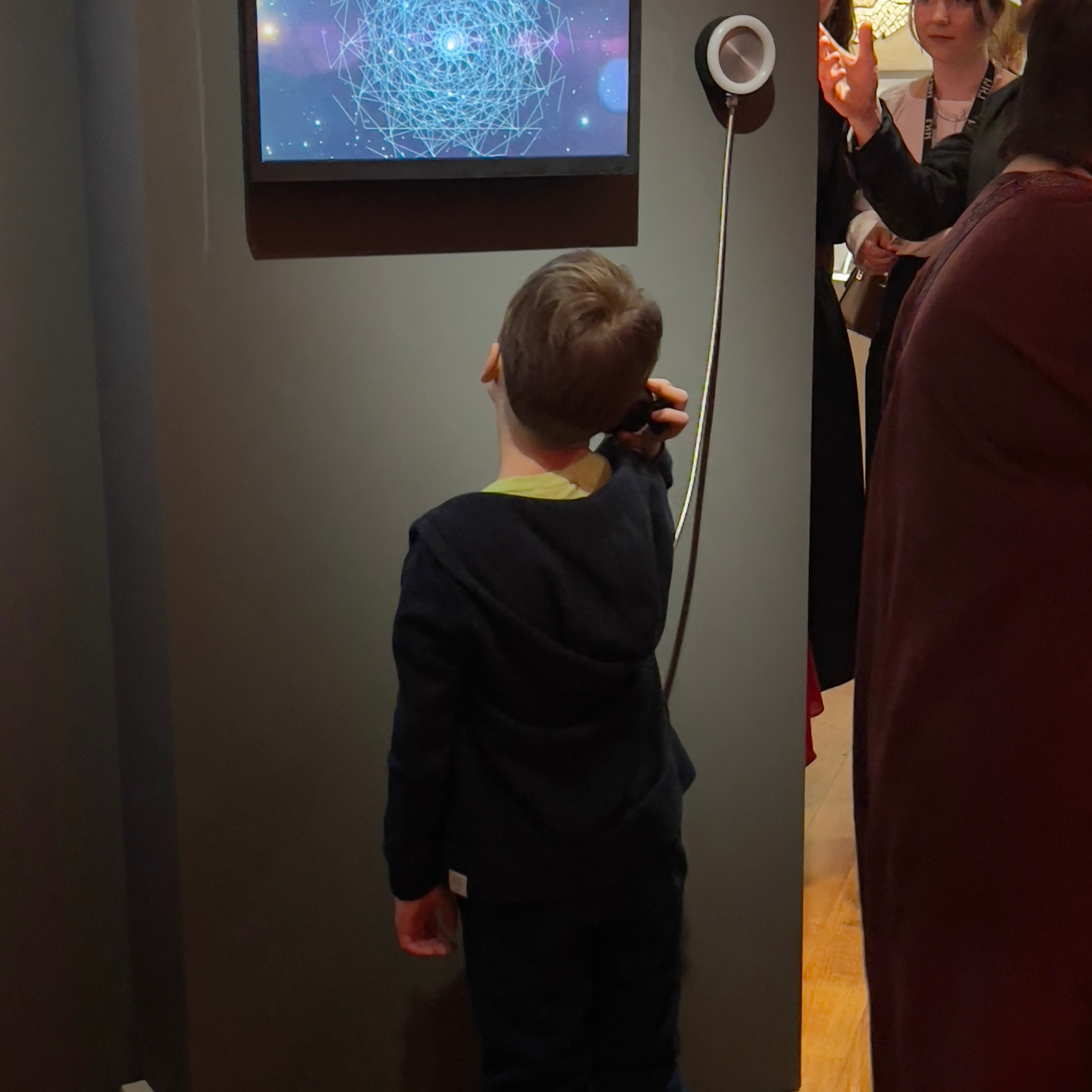 СВОЯСИ | Государственный исторический музей, 2025. Саша Малышева ● Художник