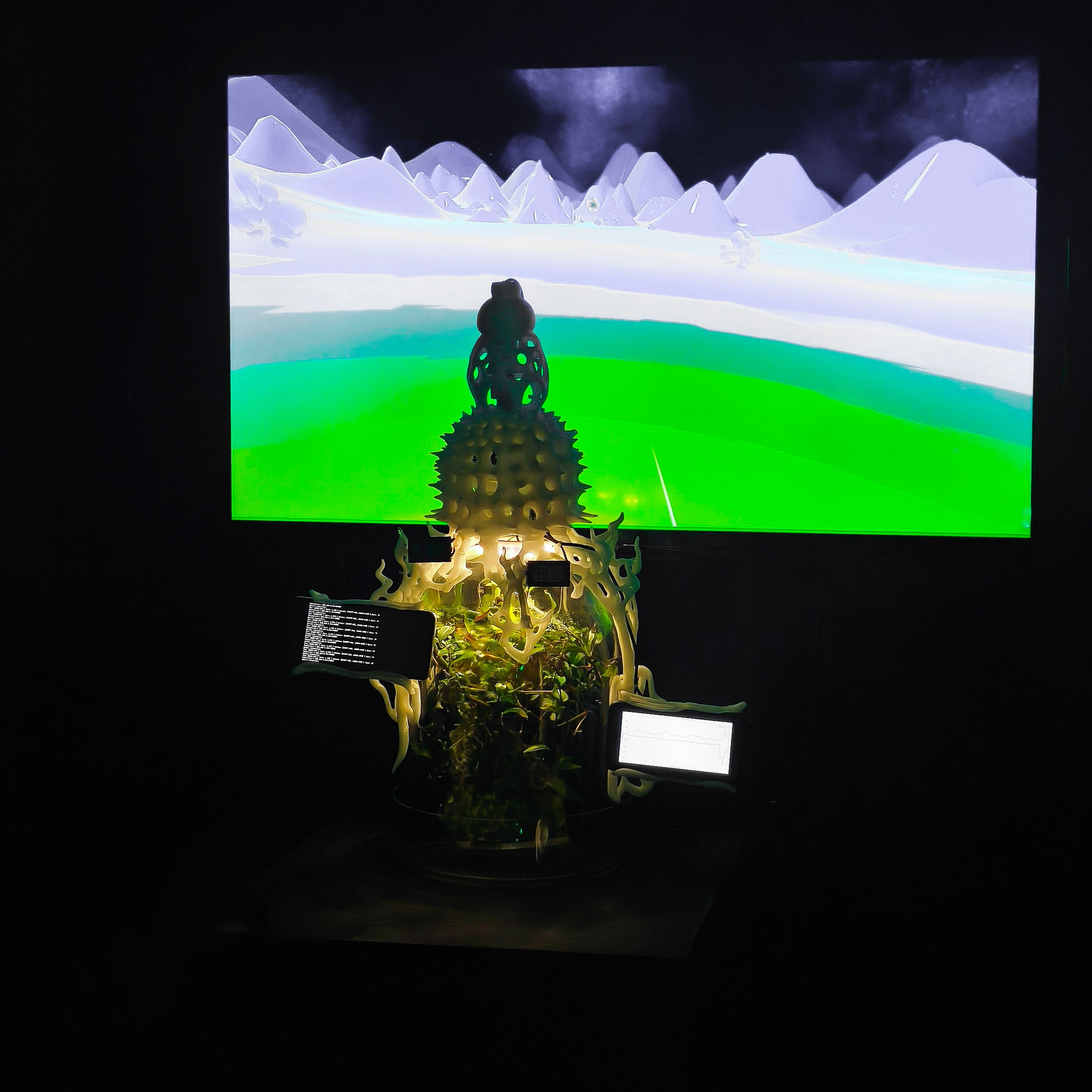 Biosynergy #101. Саша Малышева ● Художник