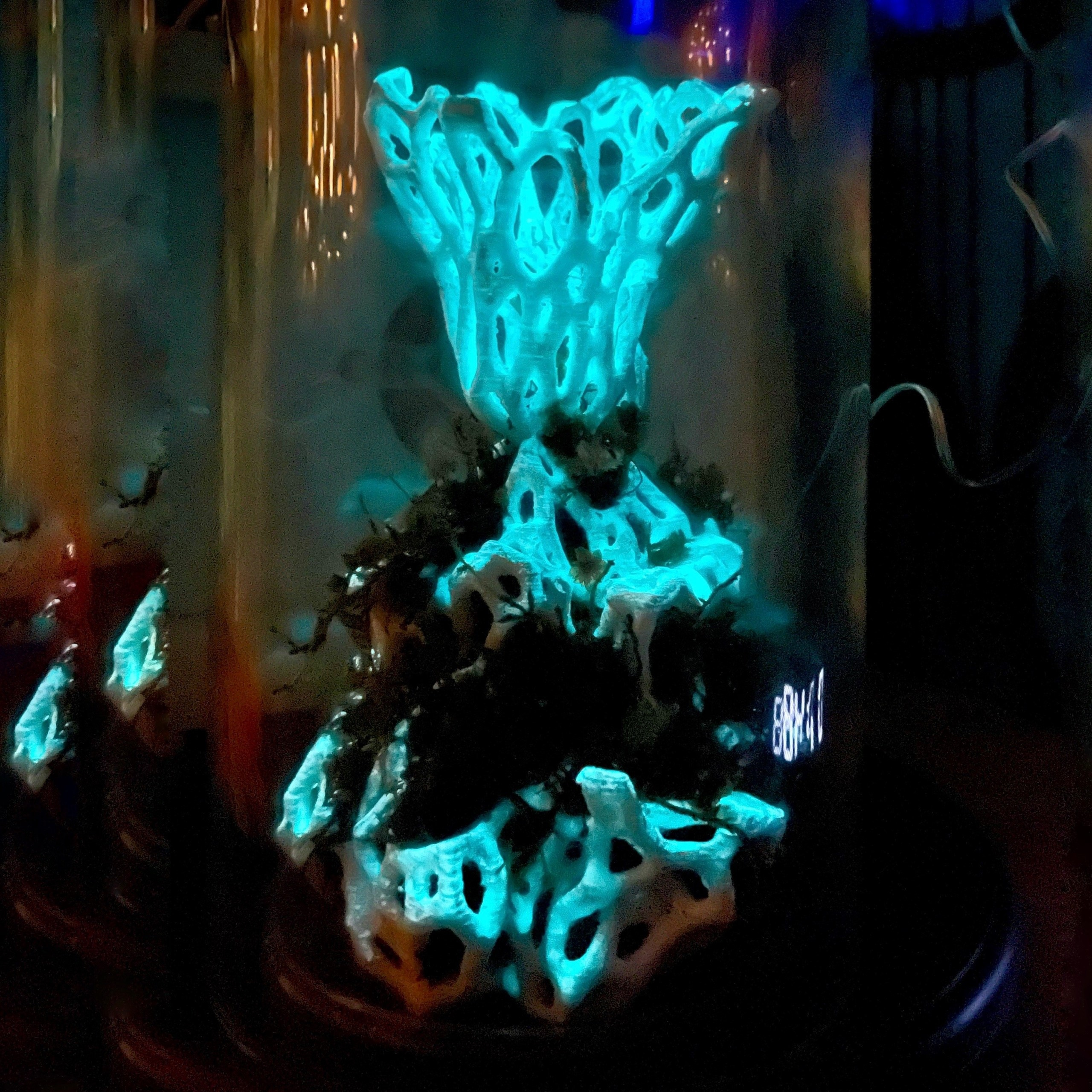 Микрокосм #96. Саша Малышева ● Художник